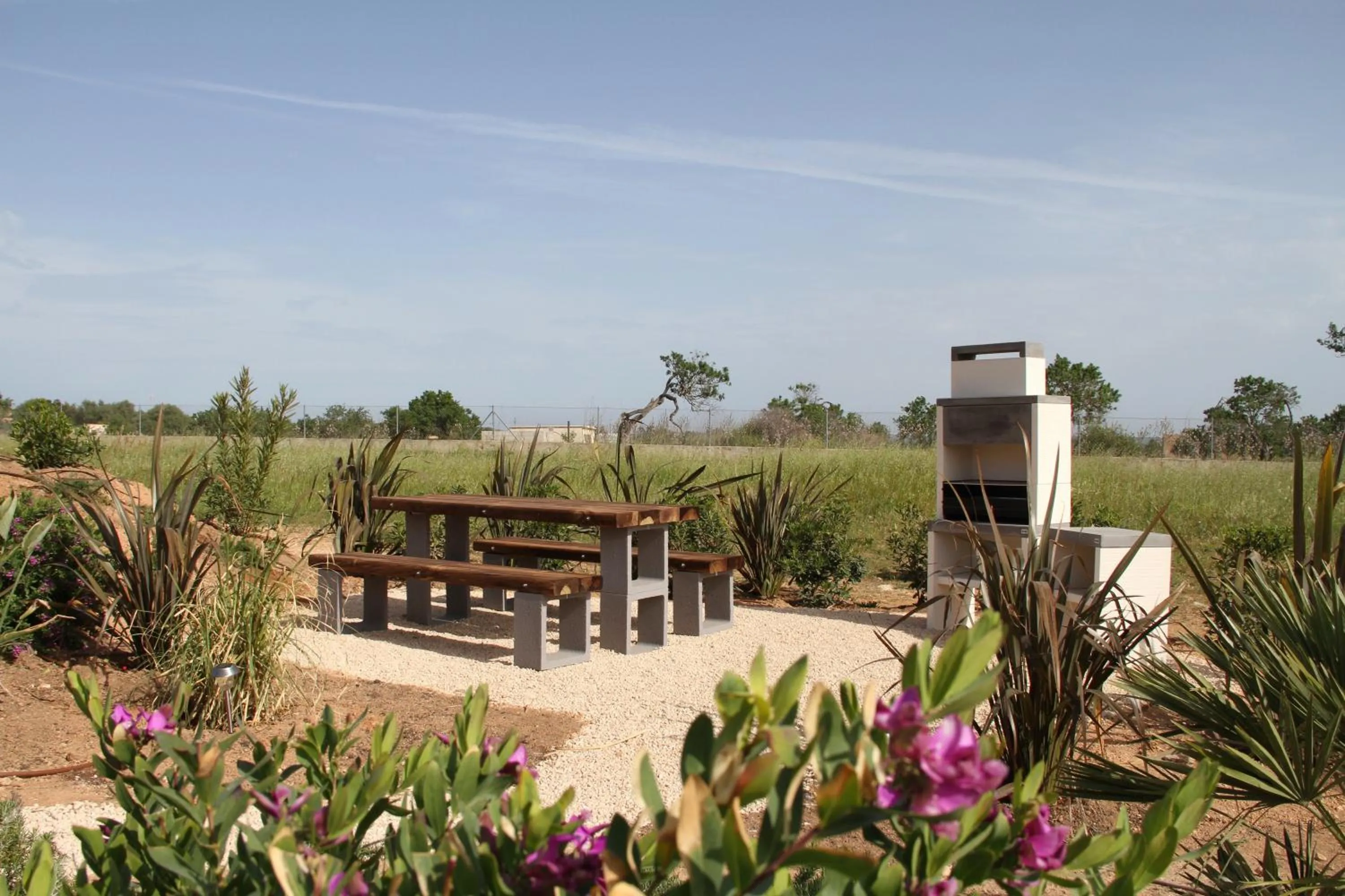 Natural landscape in Can Cariño