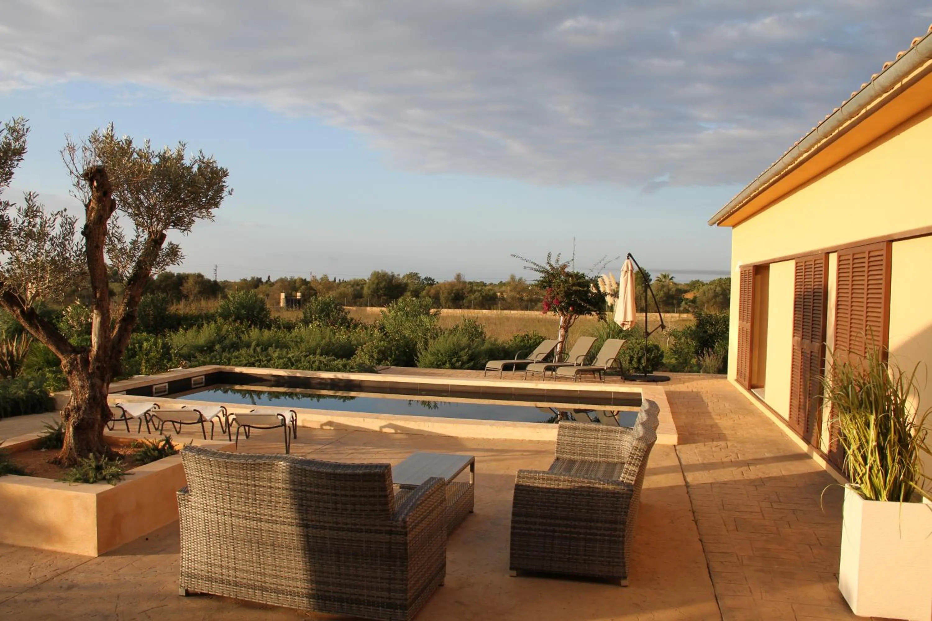 Garden in Can Cariño
