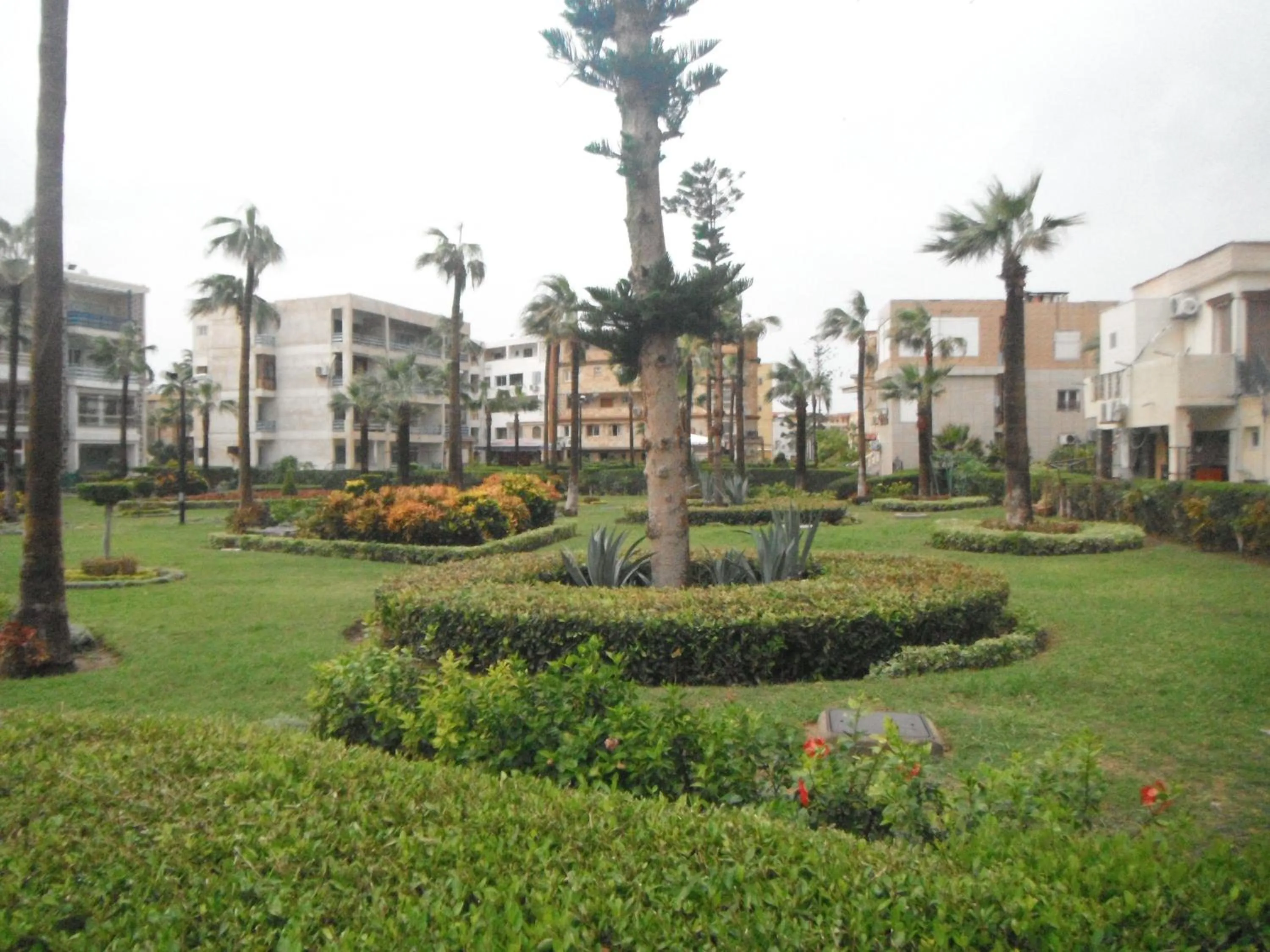 Garden in Maamoura Armed Forces Apartments