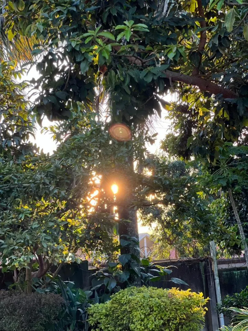 Day in Hotel Royal Nest Entebbe