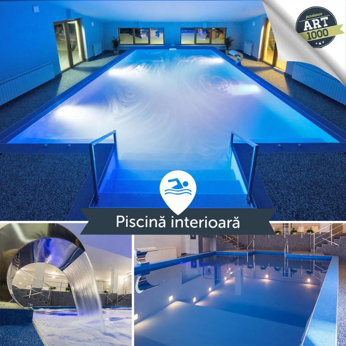 Swimming pool in Pensiunea Art 1000
