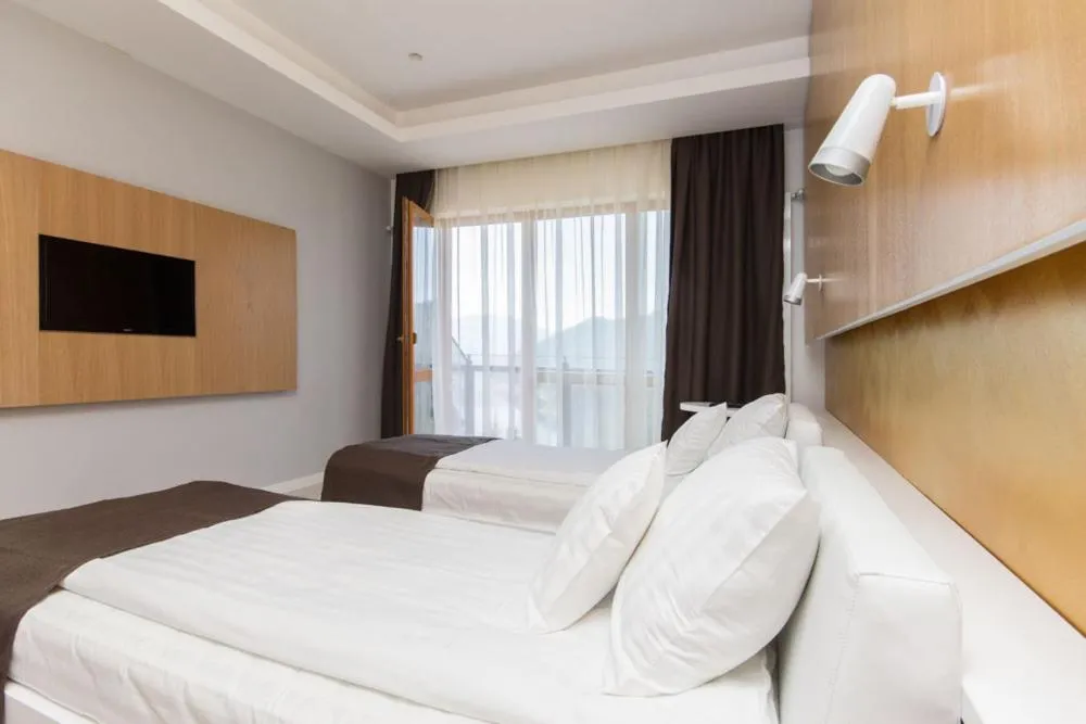 TV and multimedia, Bed in Pensiunea Art 1000