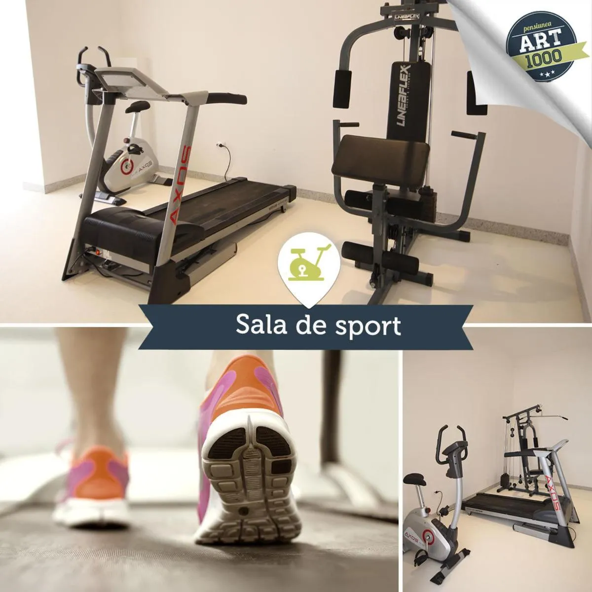 Fitness centre/facilities in Pensiunea Art 1000