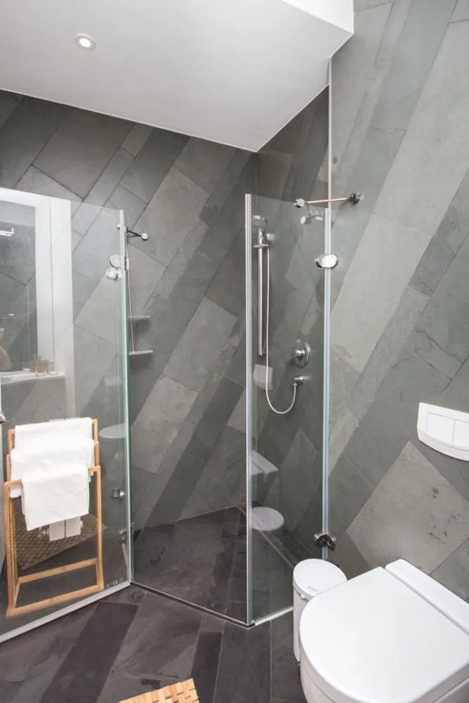 Shower in Pensiunea Art 1000
