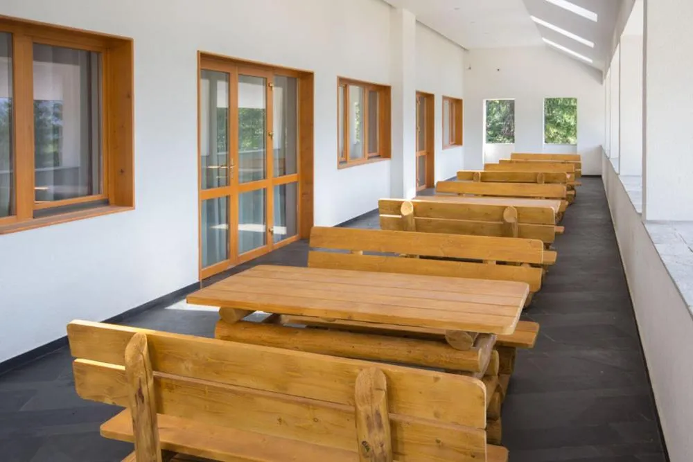 Balcony/Terrace in Pensiunea Art 1000