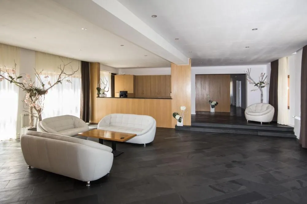 Lobby or reception in Pensiunea Art 1000
