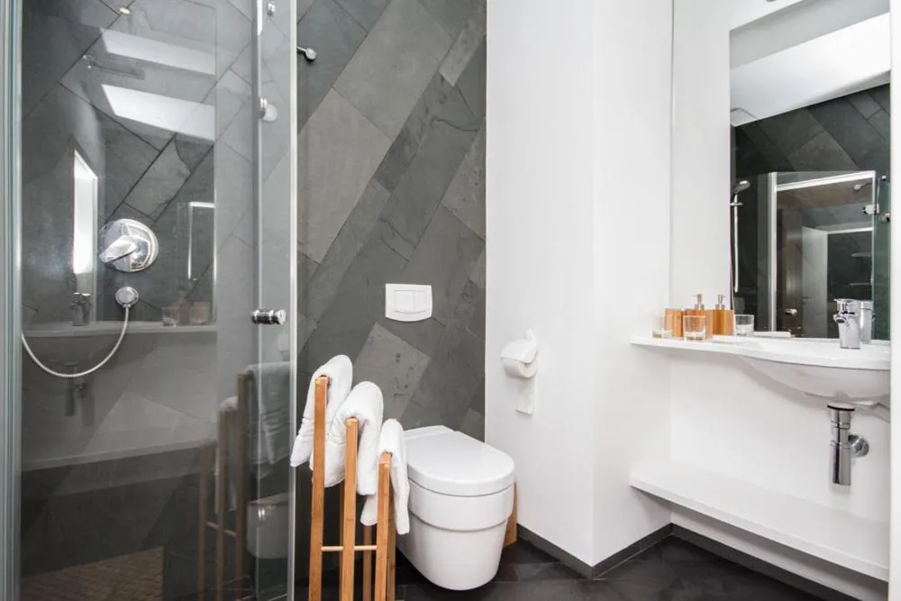 Shower in Pensiunea Art 1000