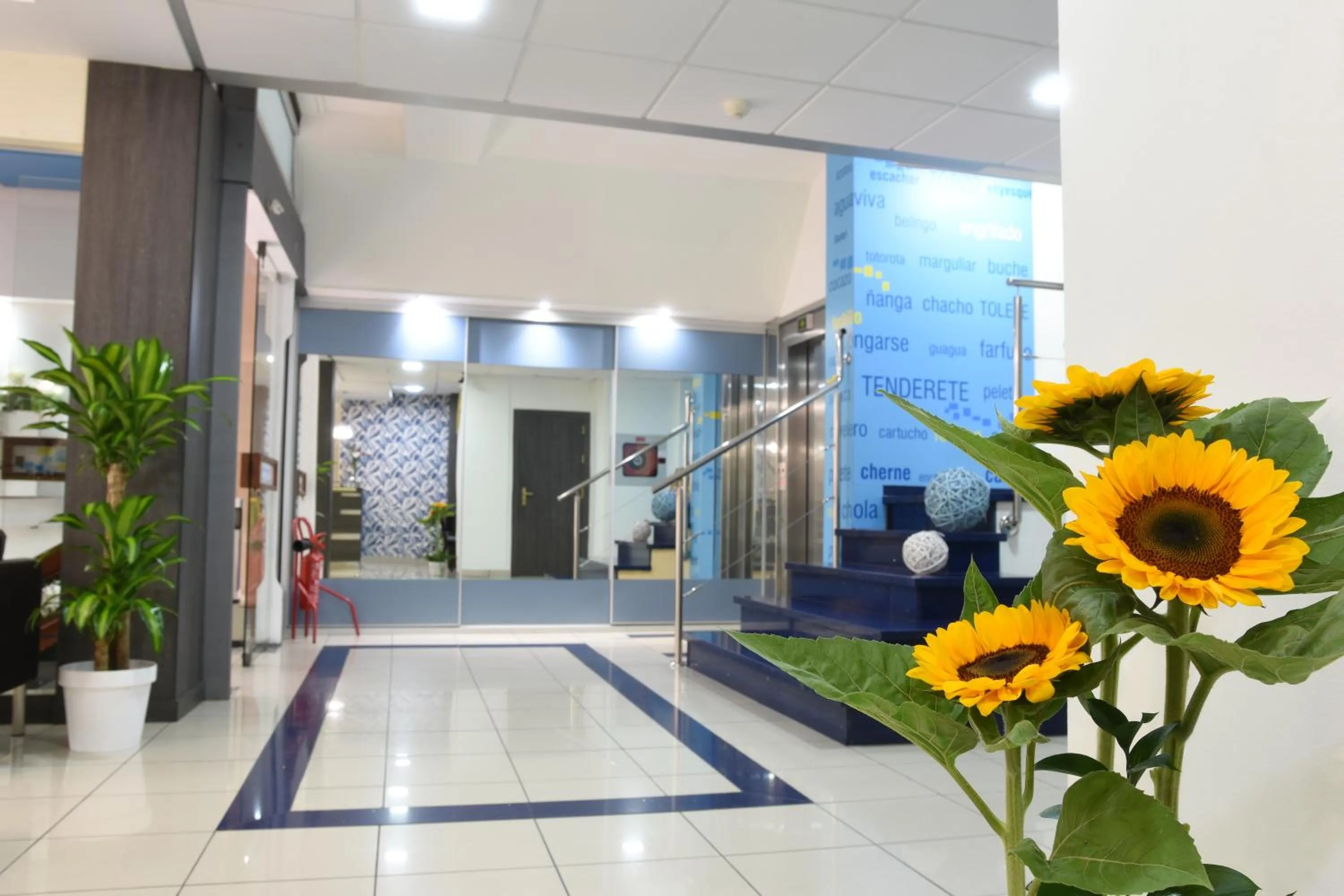 Lobby or reception in Apartamentos Tinoca