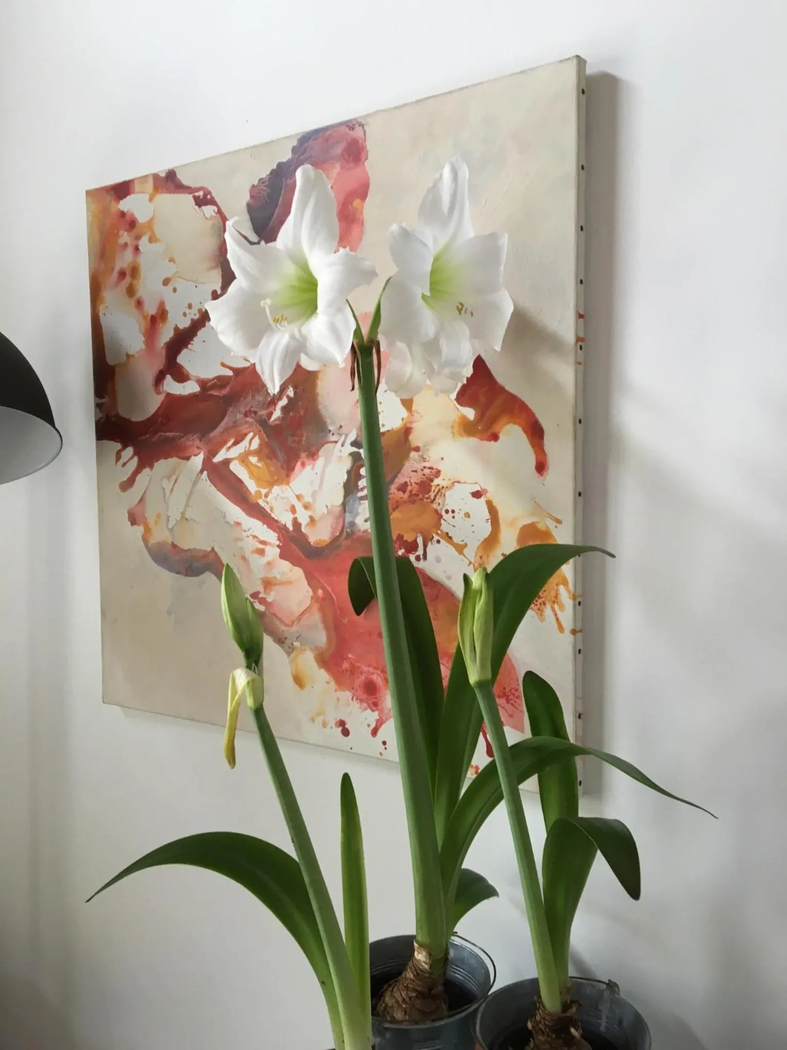 Decorative detail in Skylark Bed & Breakfast