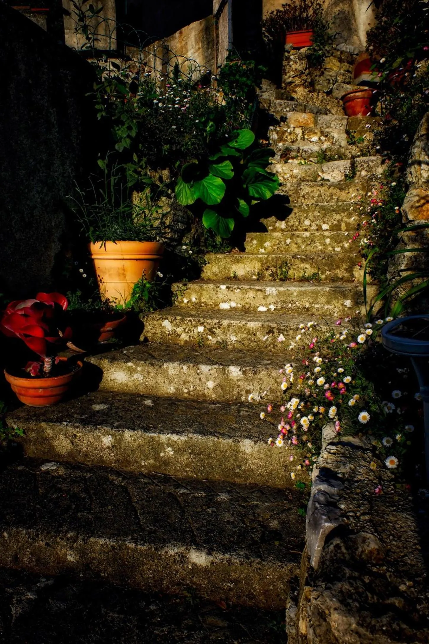 Decorative detail in Skylark Bed & Breakfast