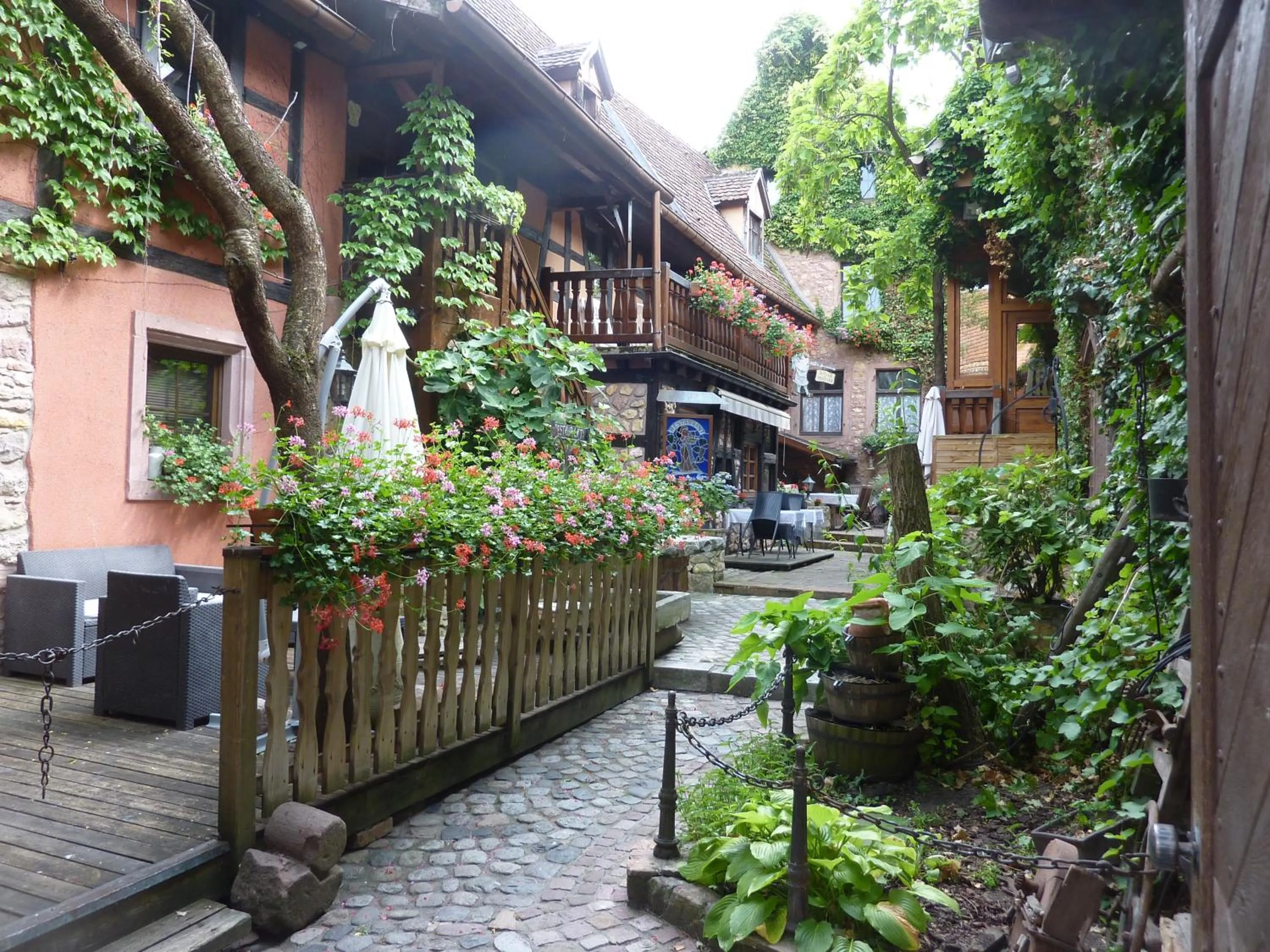 Garden view in Chez Norbert