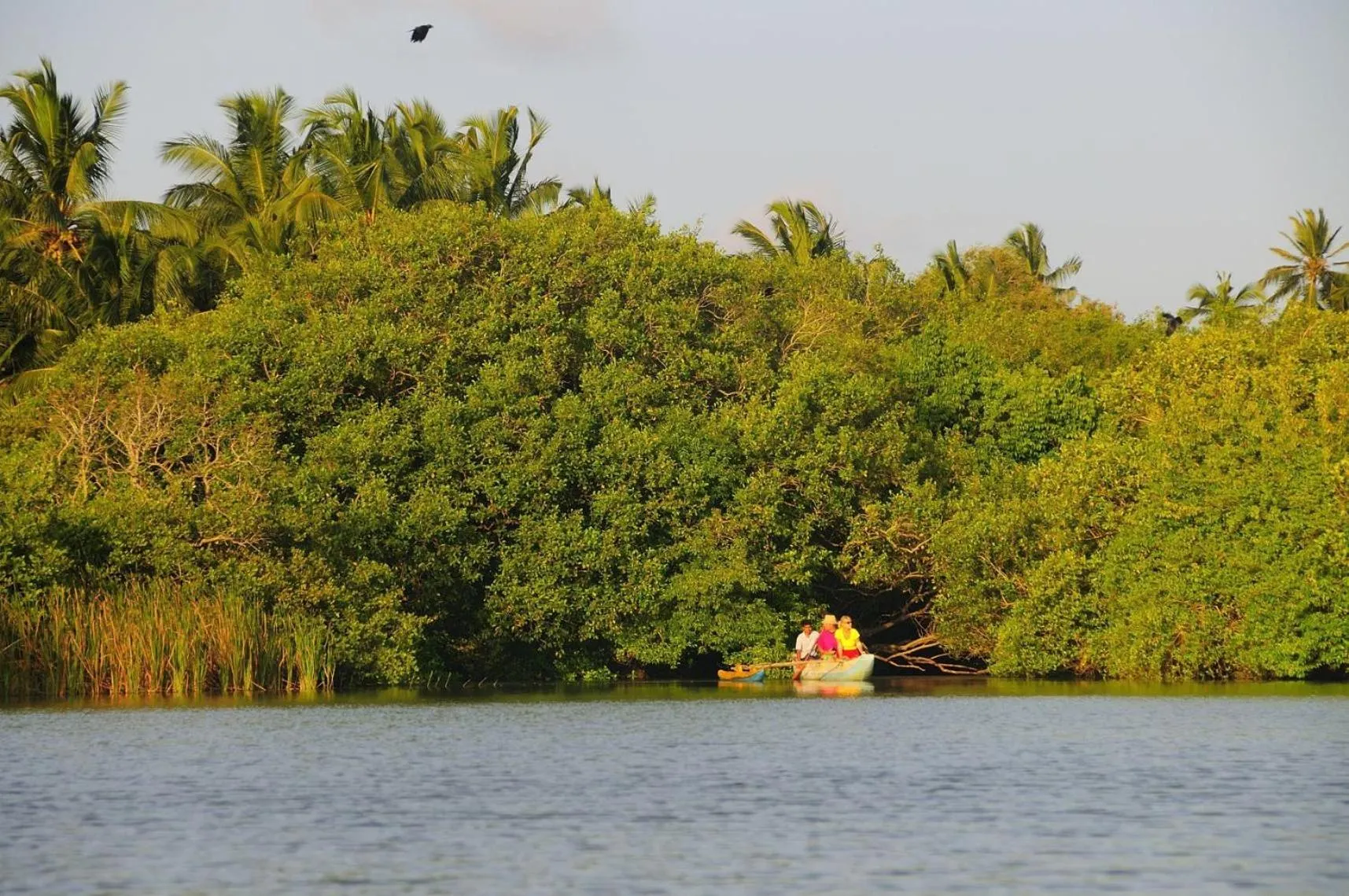 Natural landscape in Shehani Beach Bungalow