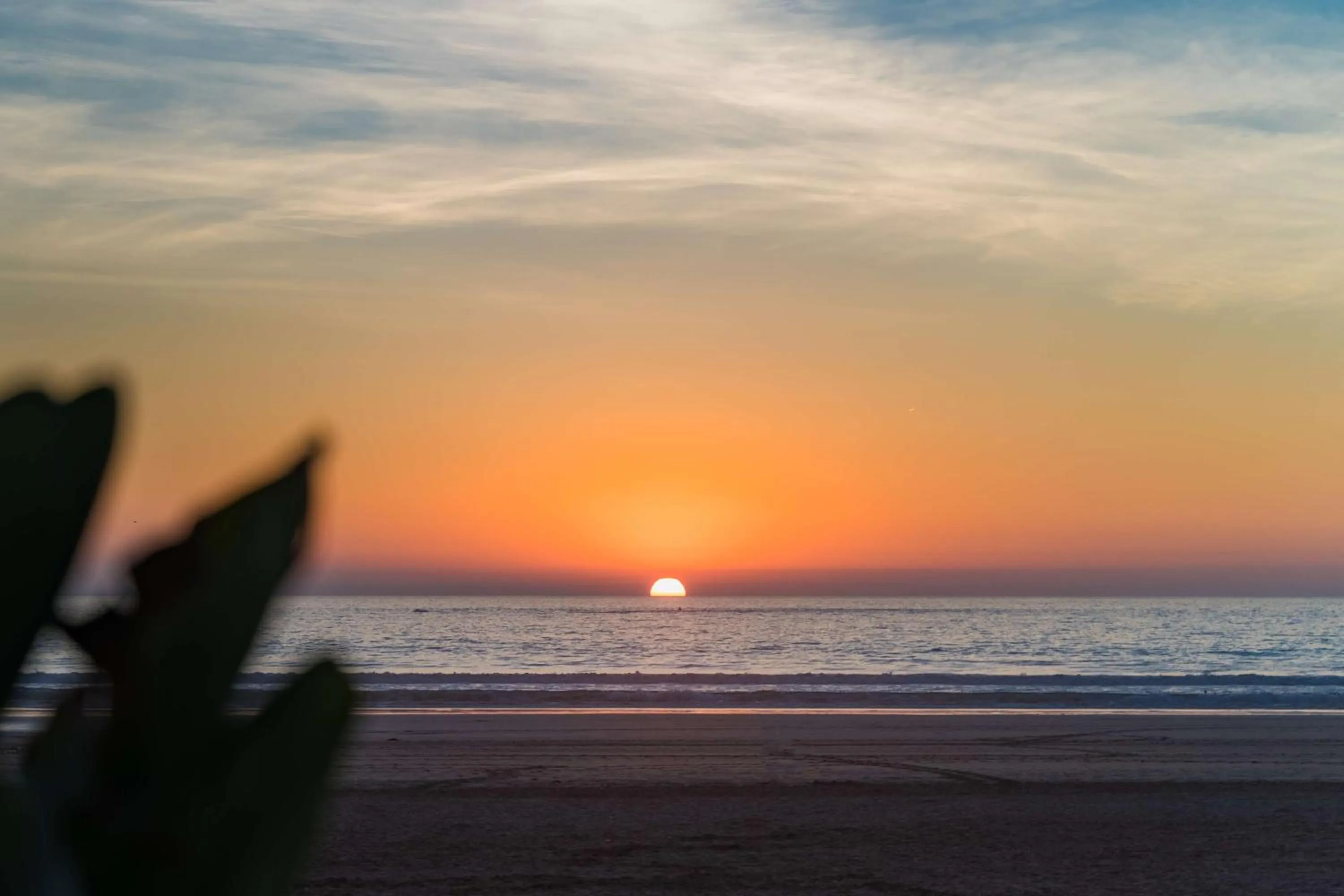 Beach in Radisson Blu Resort Taghazout Bay Surf Village
