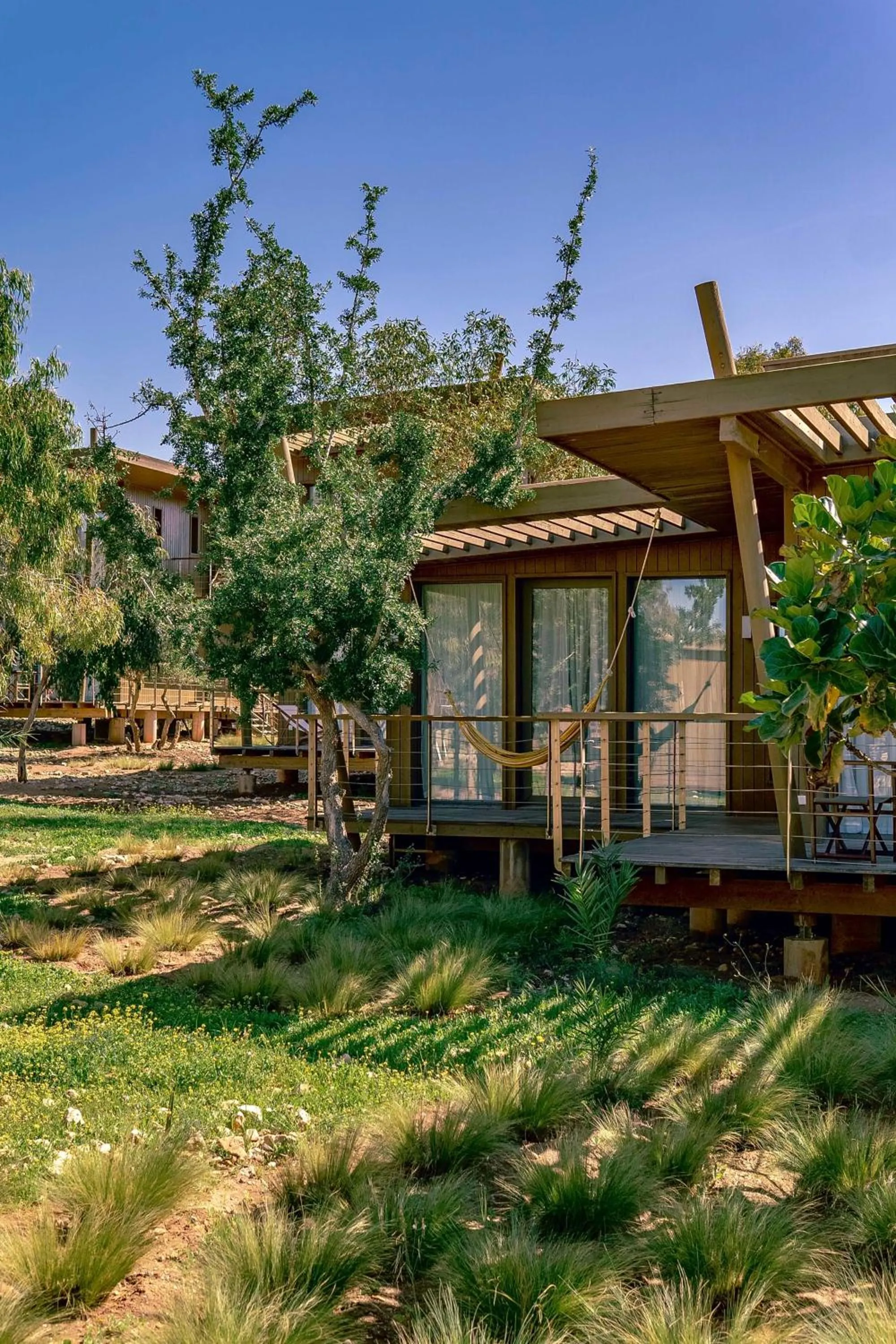 Photo of the whole room in Radisson Blu Resort Taghazout Bay Surf Village