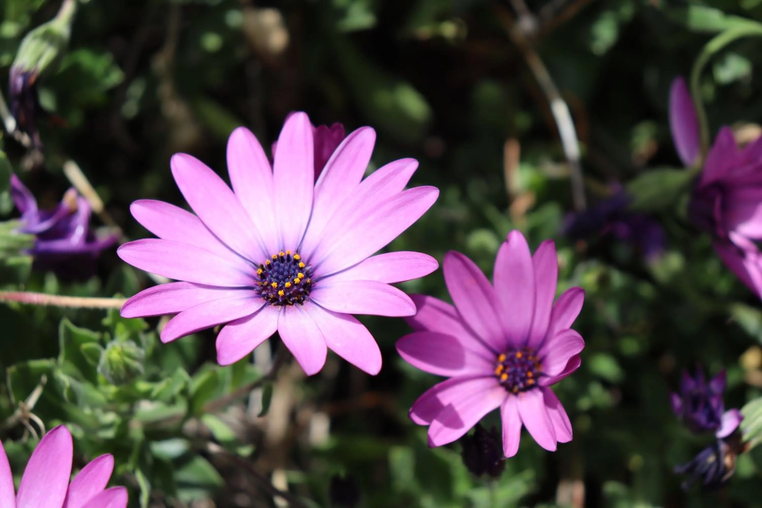 Off site in Mongui Plaza Hotel