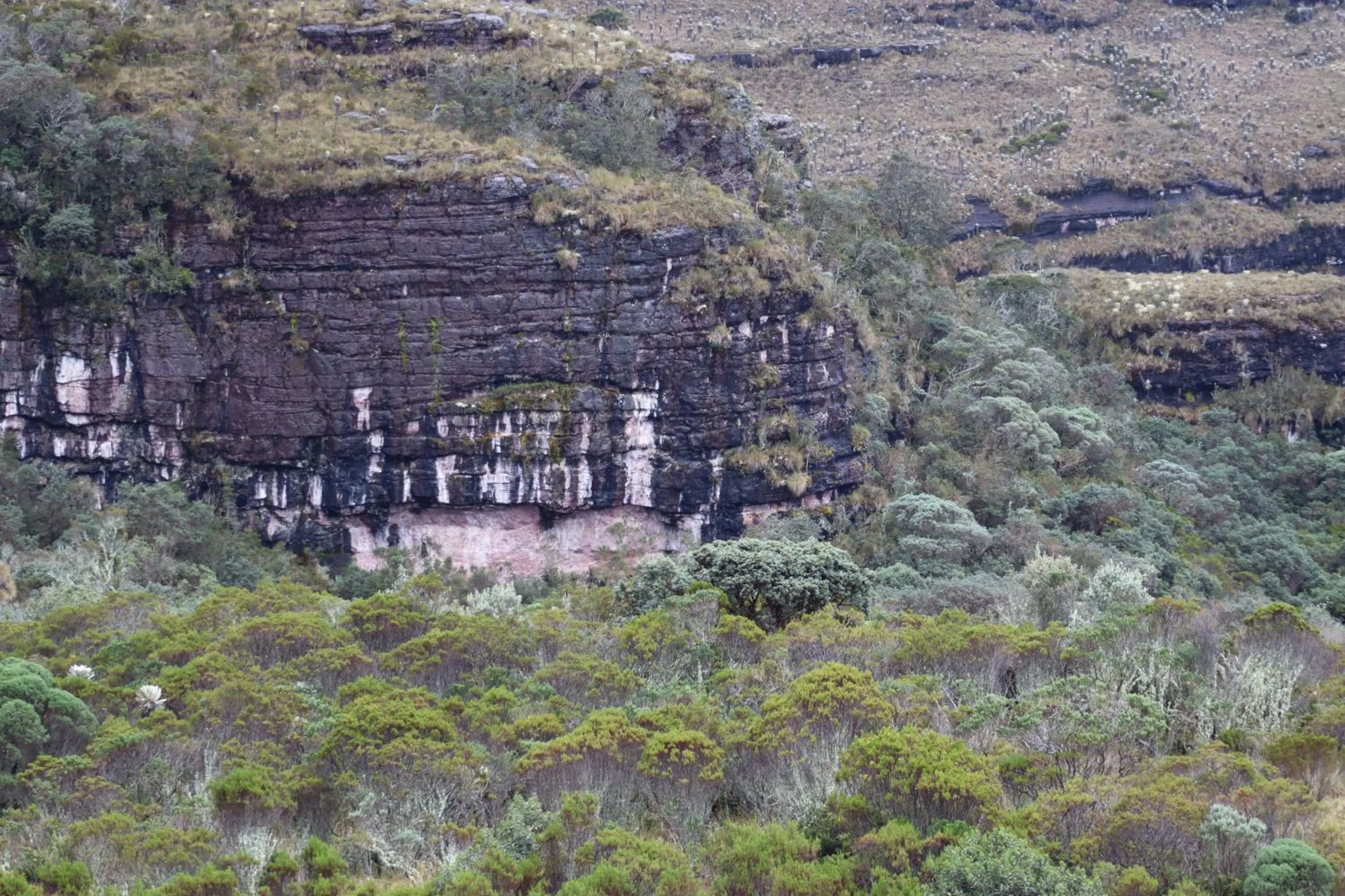 Off site in Mongui Plaza Hotel