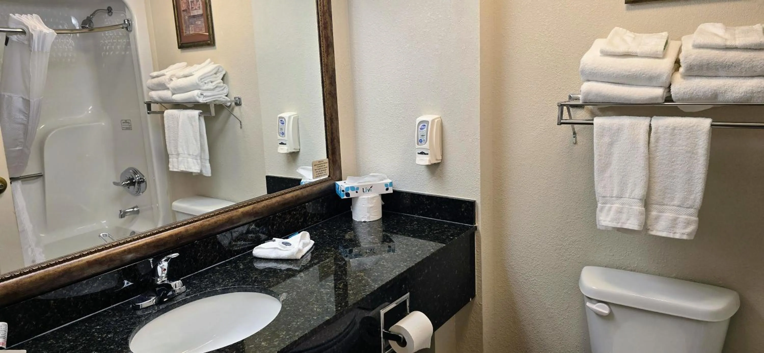 Bathroom in Grand Plaza Hotel & Conference Center