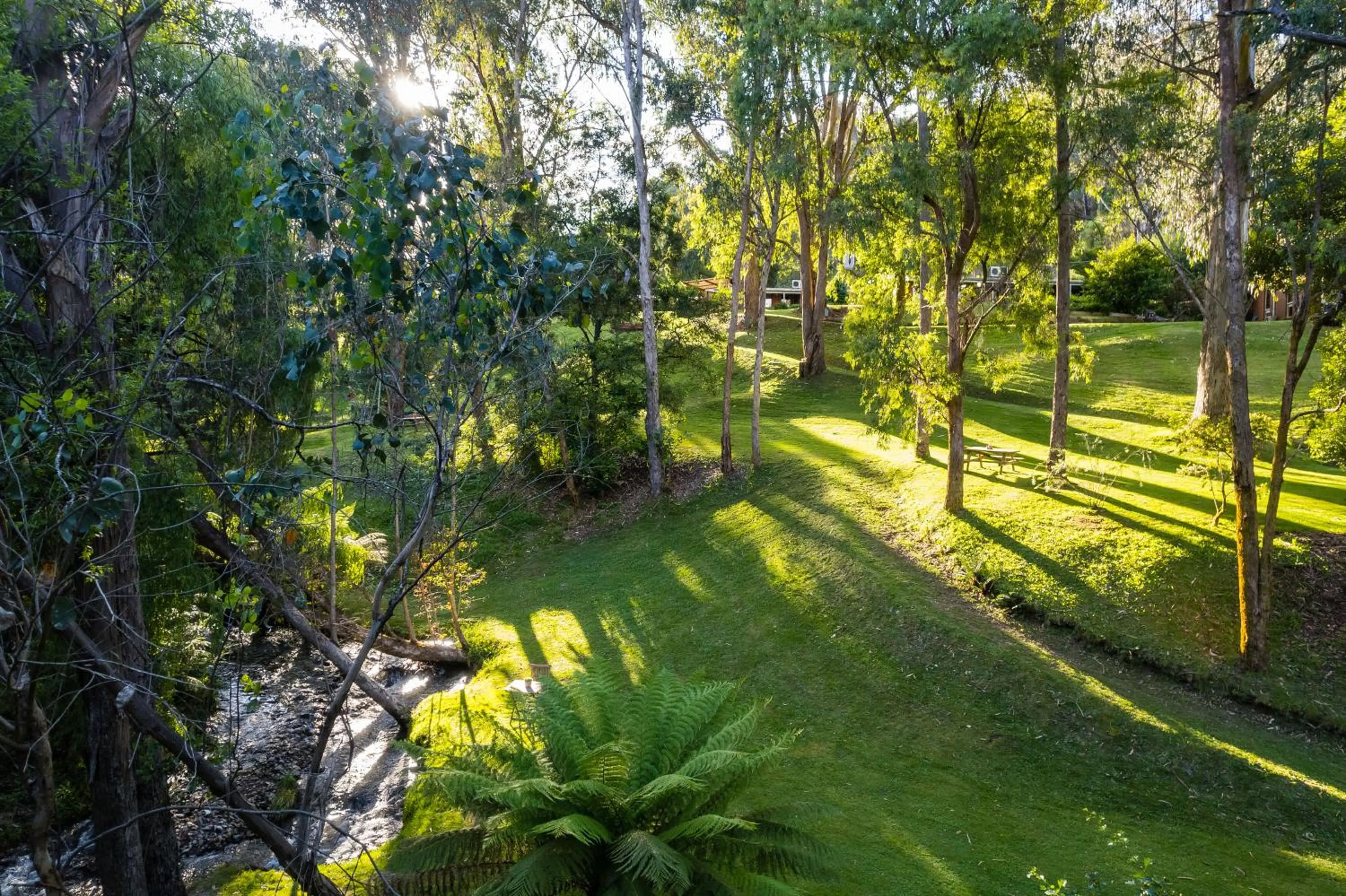 Natural landscape in Kiewa Country Cottages