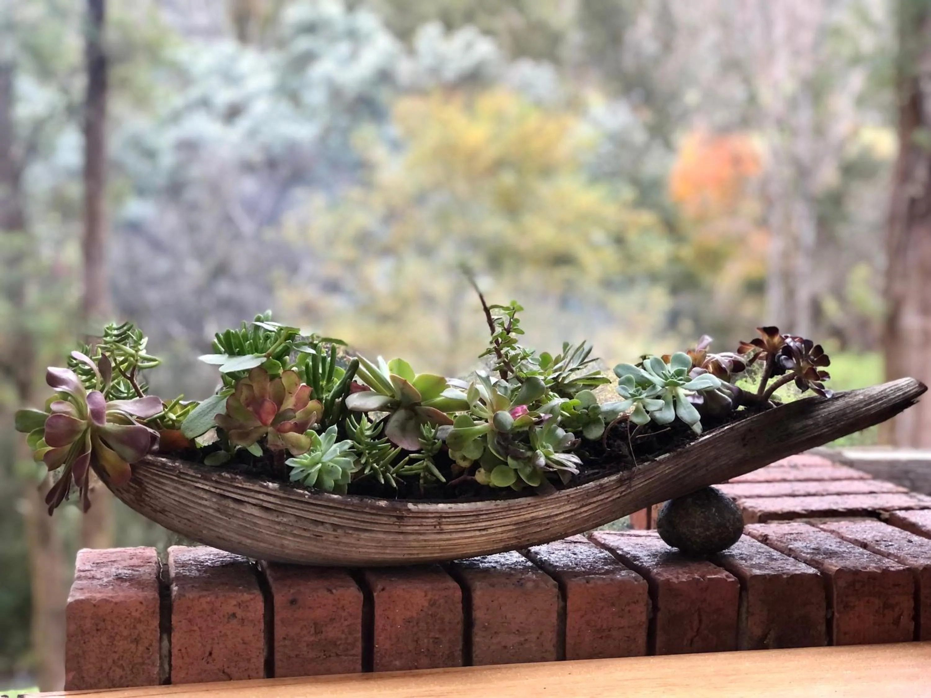 Garden in Kiewa Country Cottages