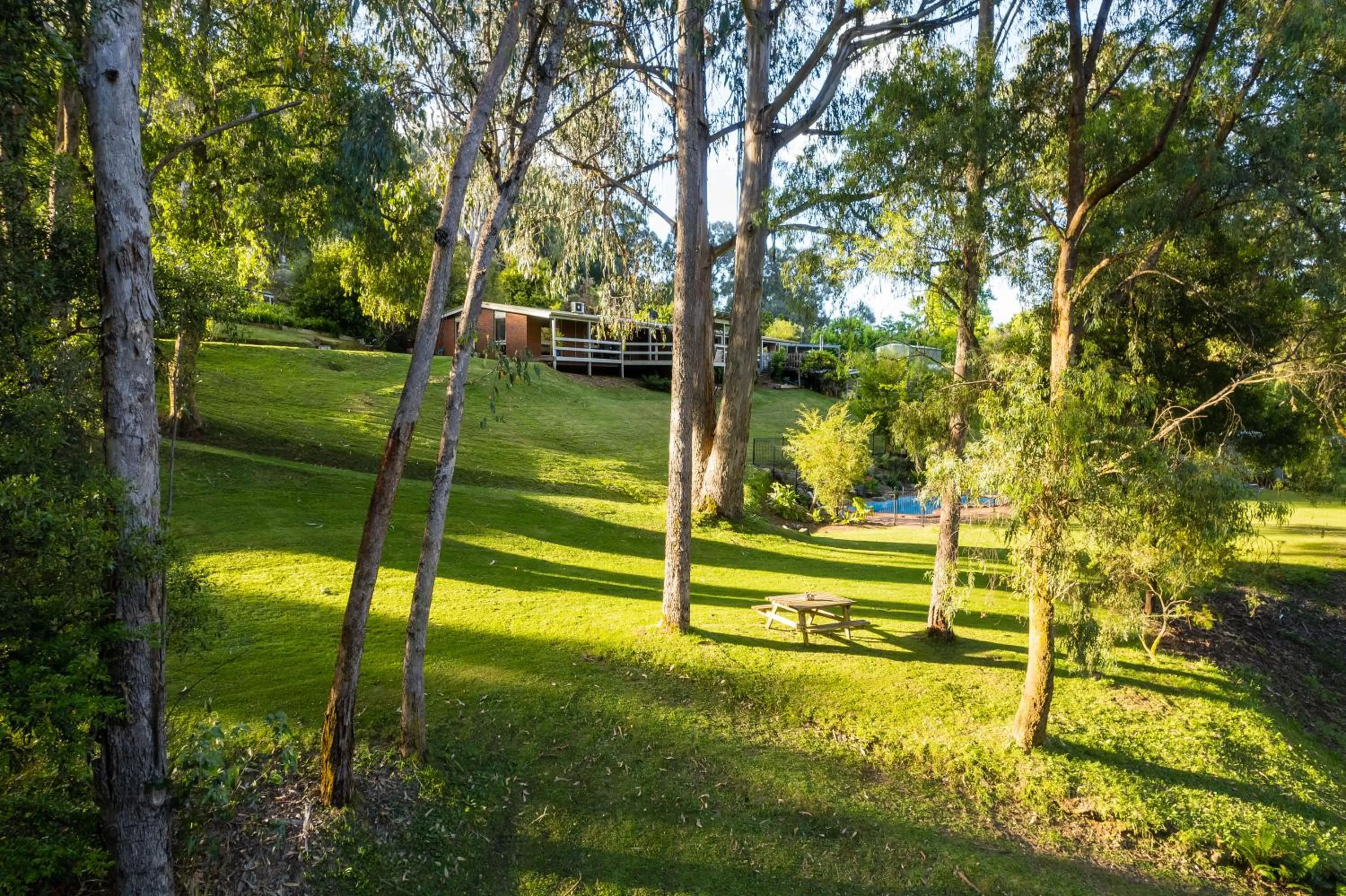 Natural landscape in Kiewa Country Cottages