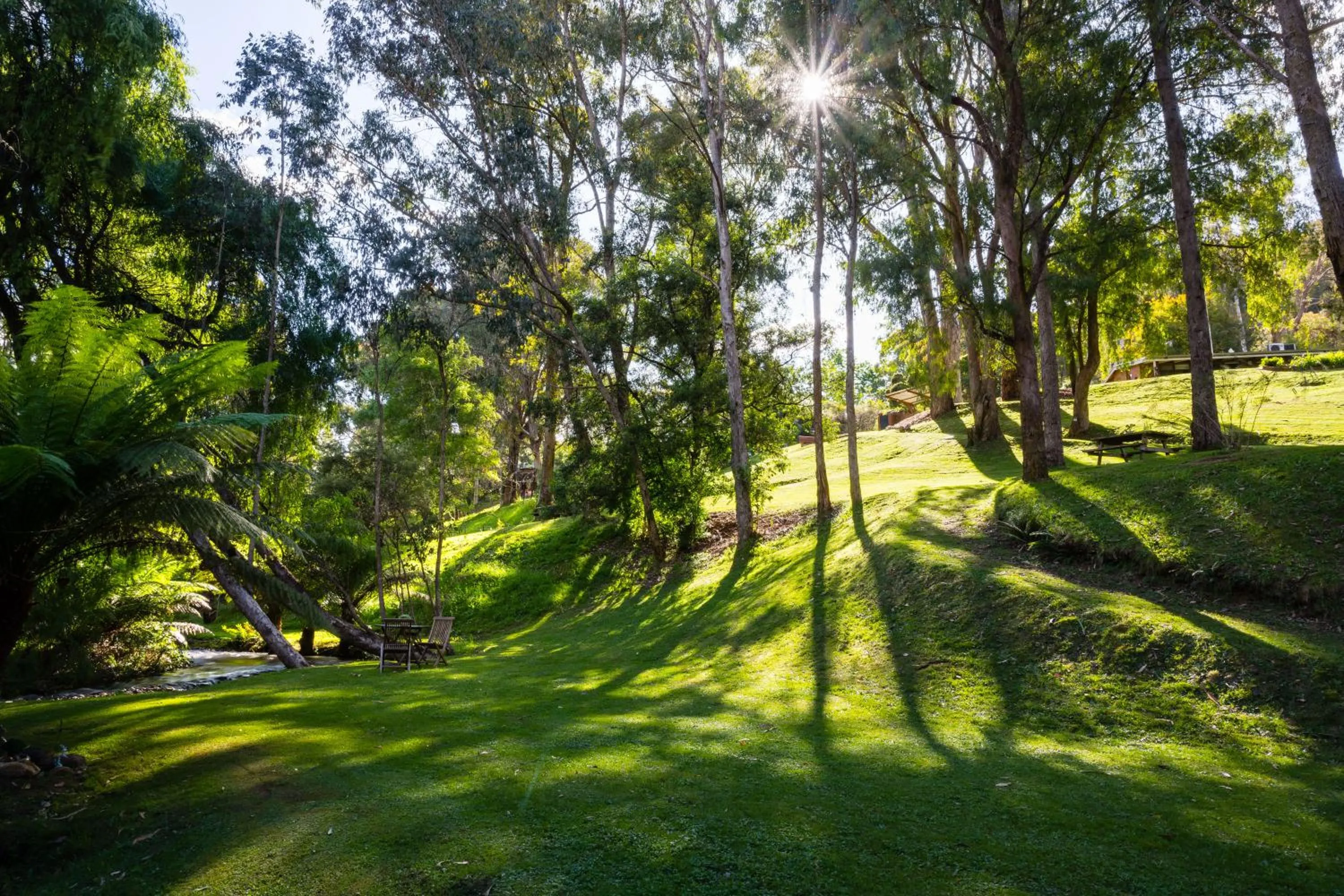 Natural landscape in Kiewa Country Cottages