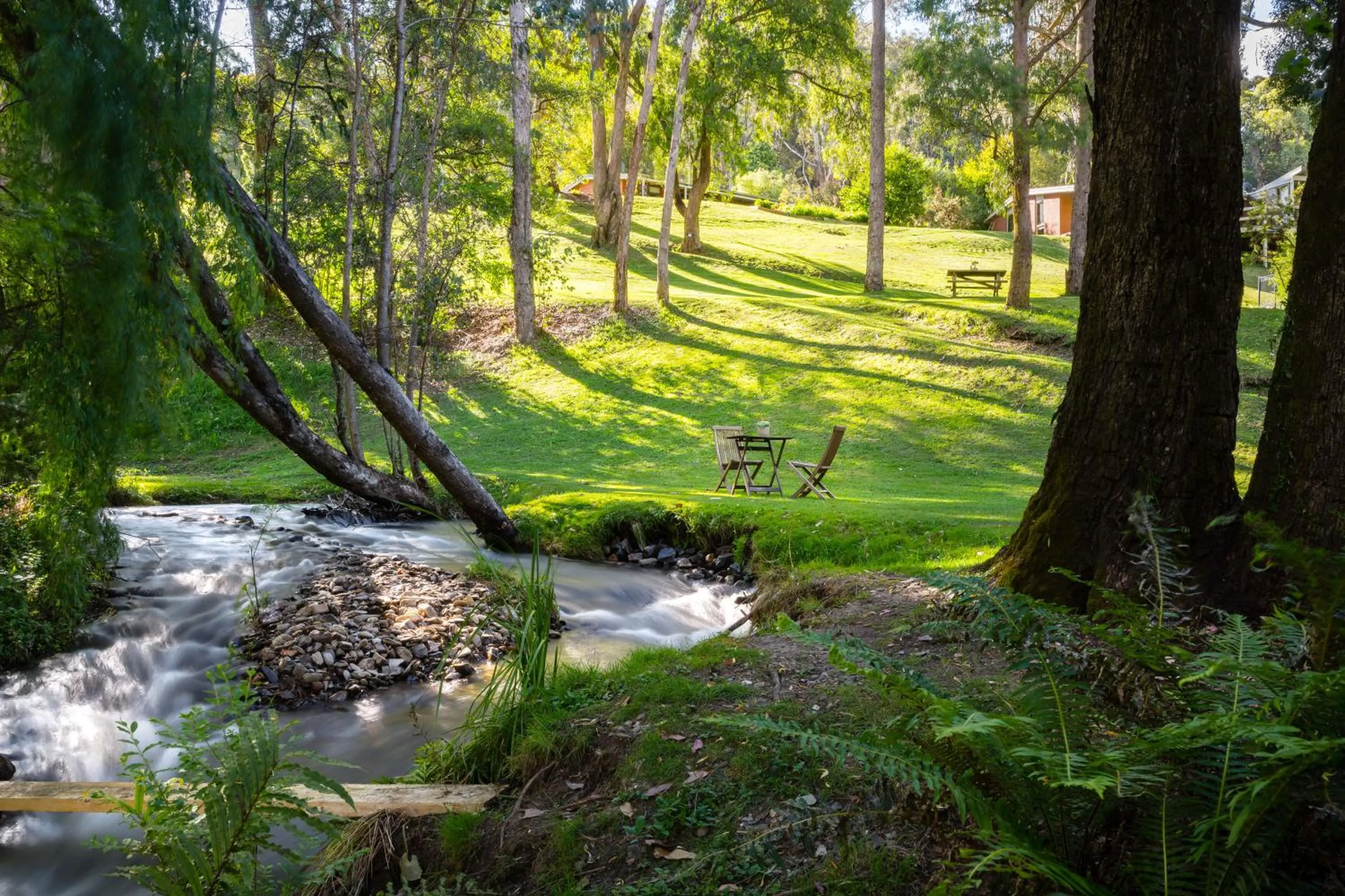 Natural landscape in Kiewa Country Cottages