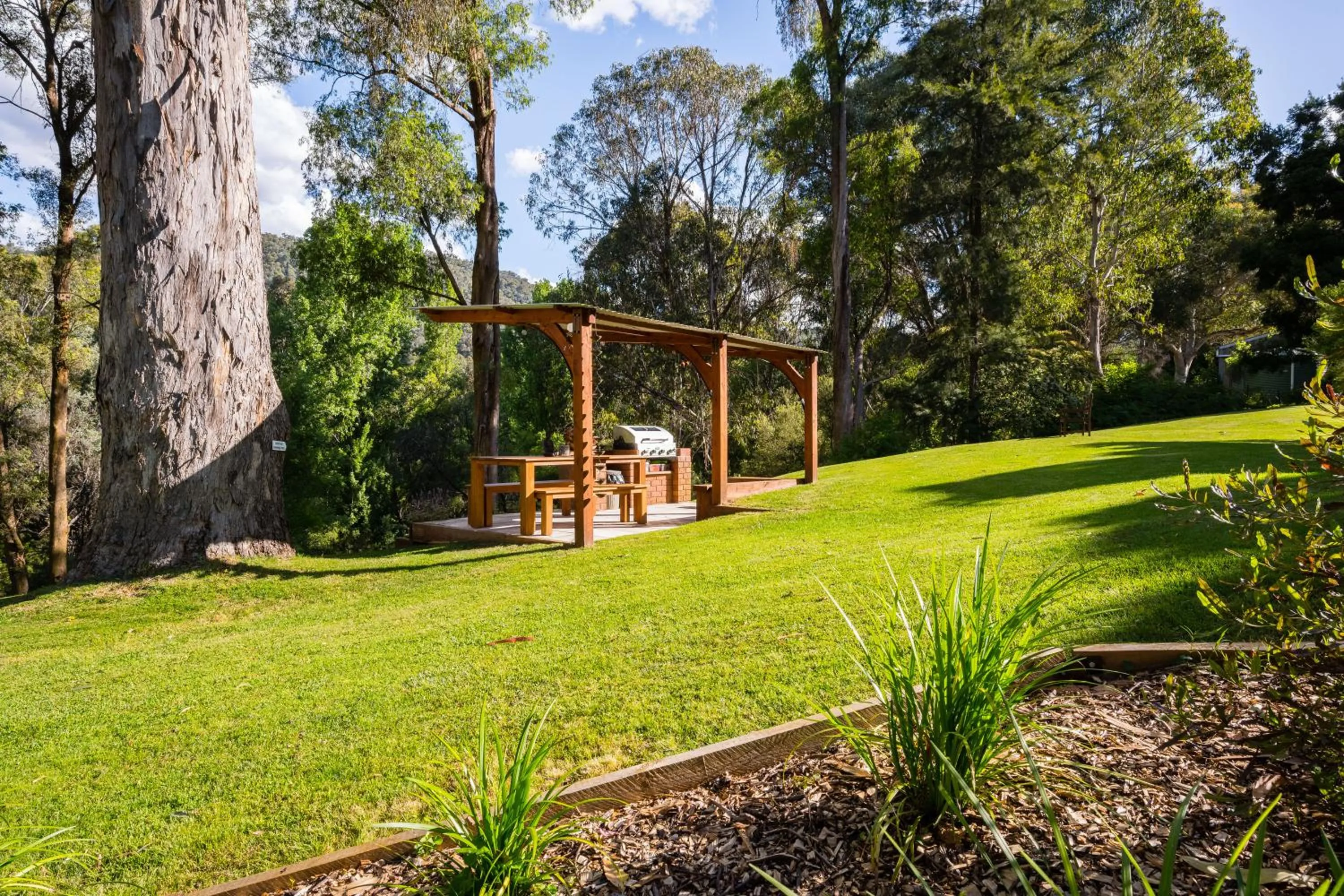 Natural landscape in Kiewa Country Cottages