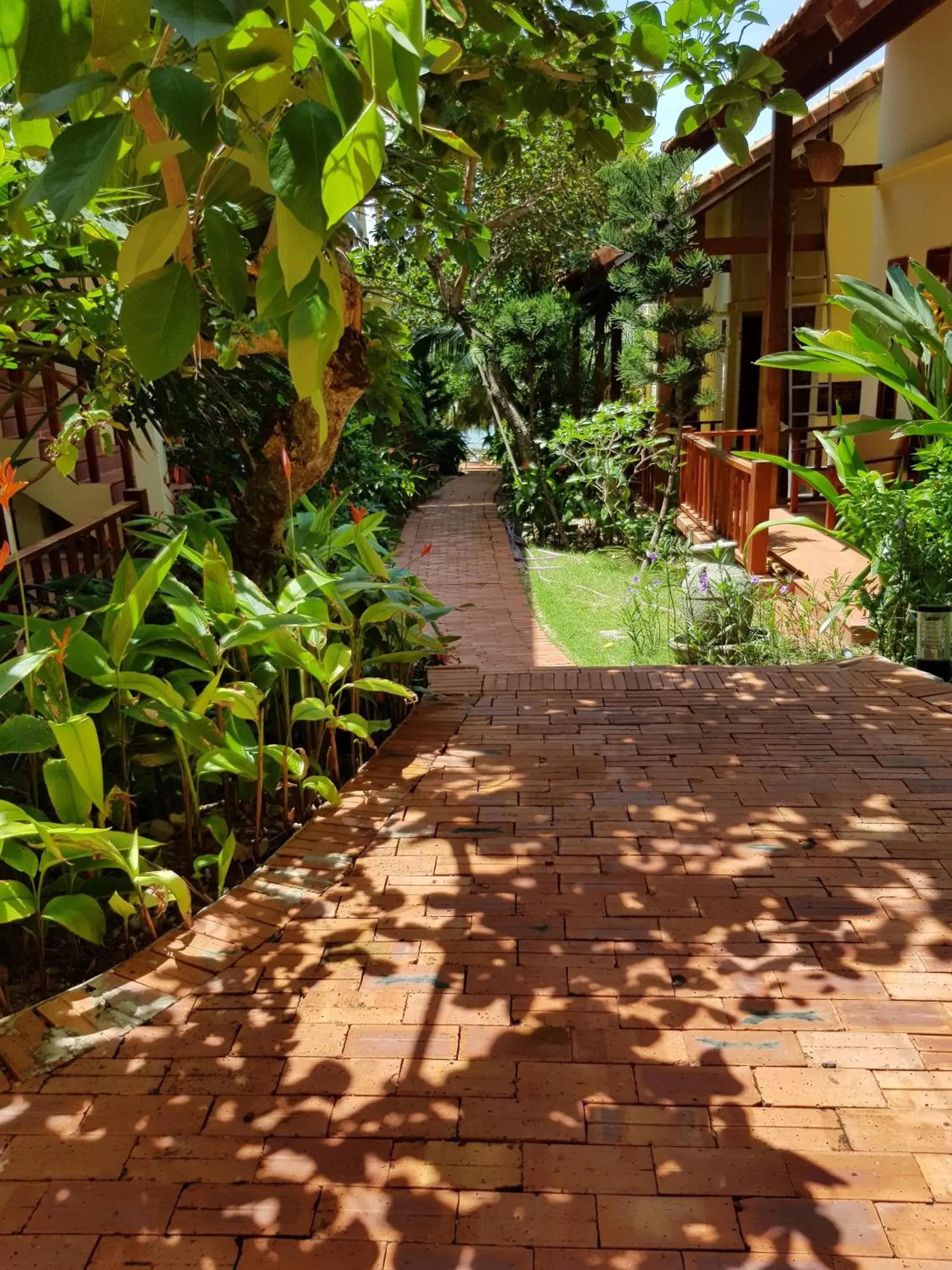 Garden view in Free Beach Resort Garden view in Free Beach Resort