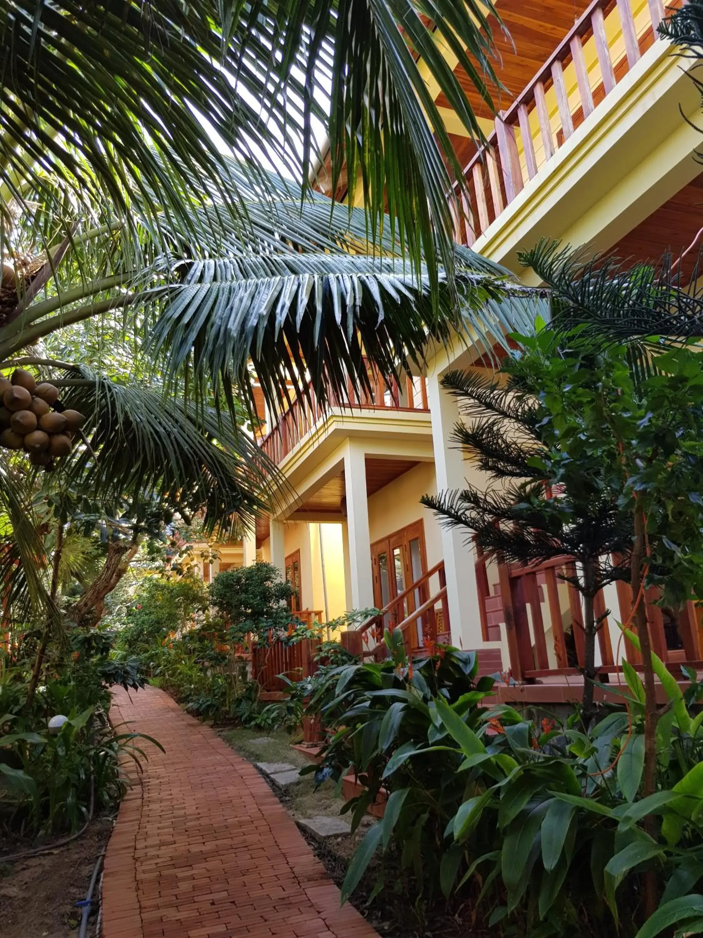 Garden view in Free Beach Resort Garden view in Free Beach Resort