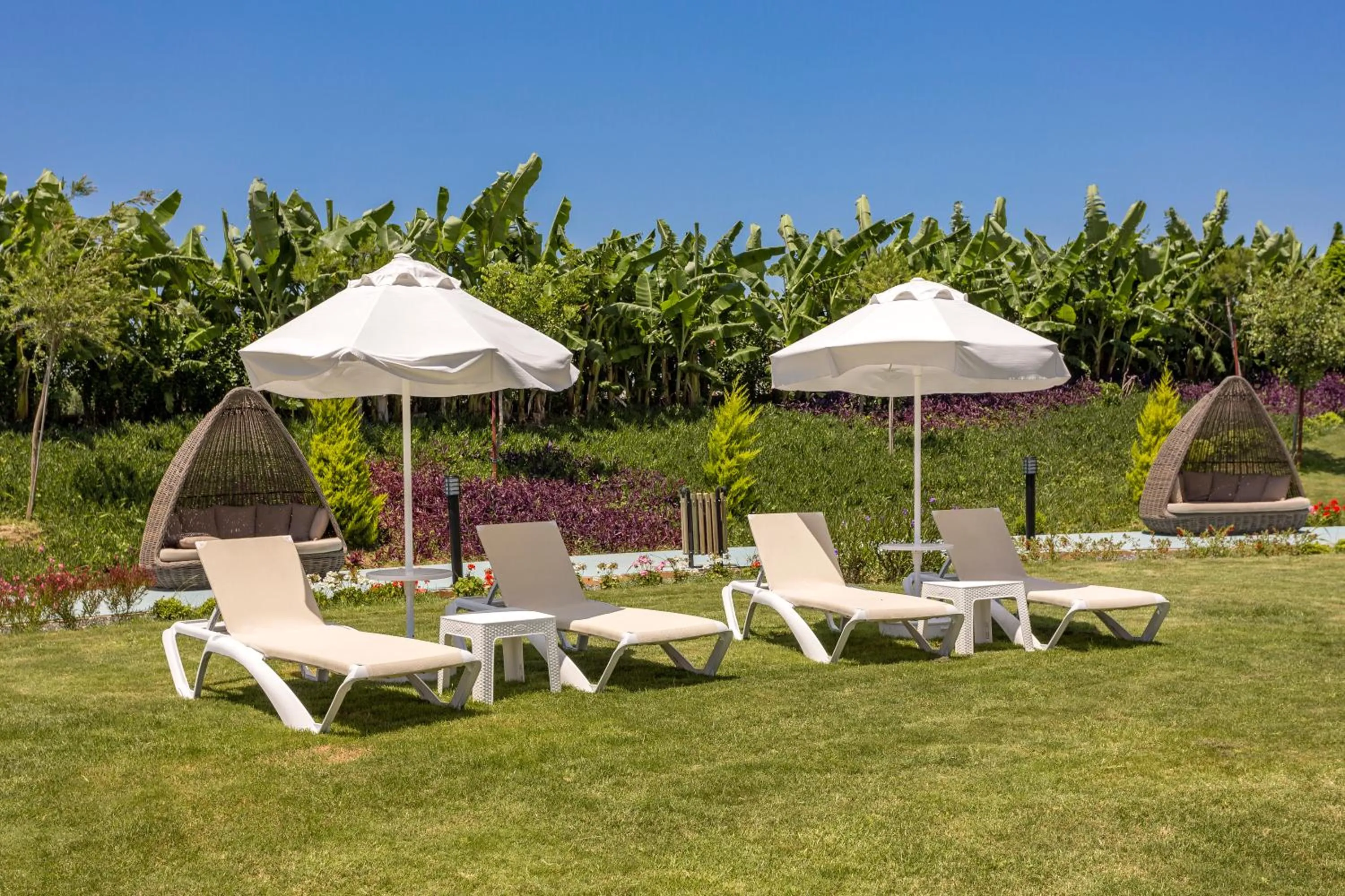 Garden in Glamour Resort & SPA