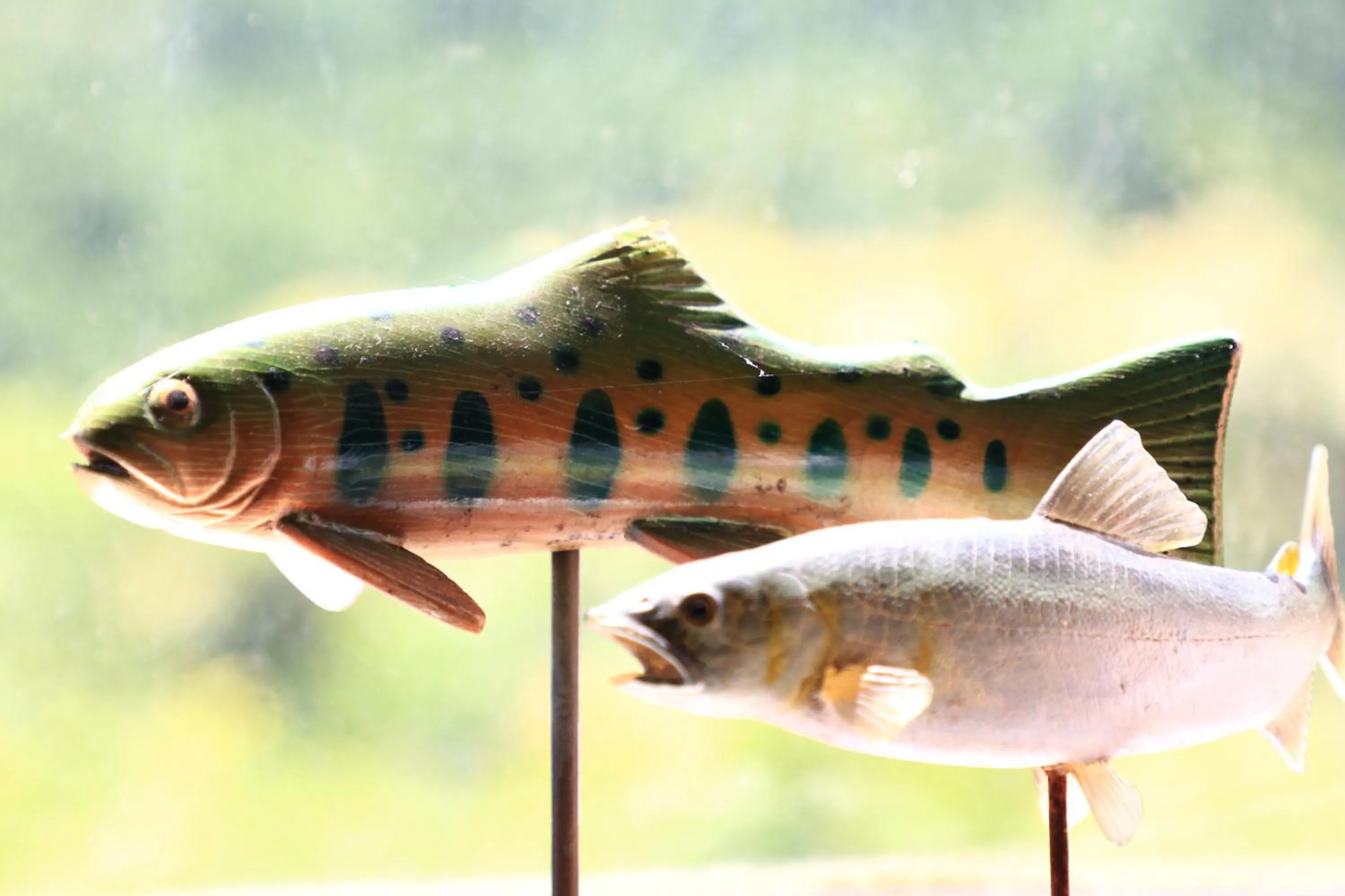 Area and facilities in Minshuku Iwana no Sato