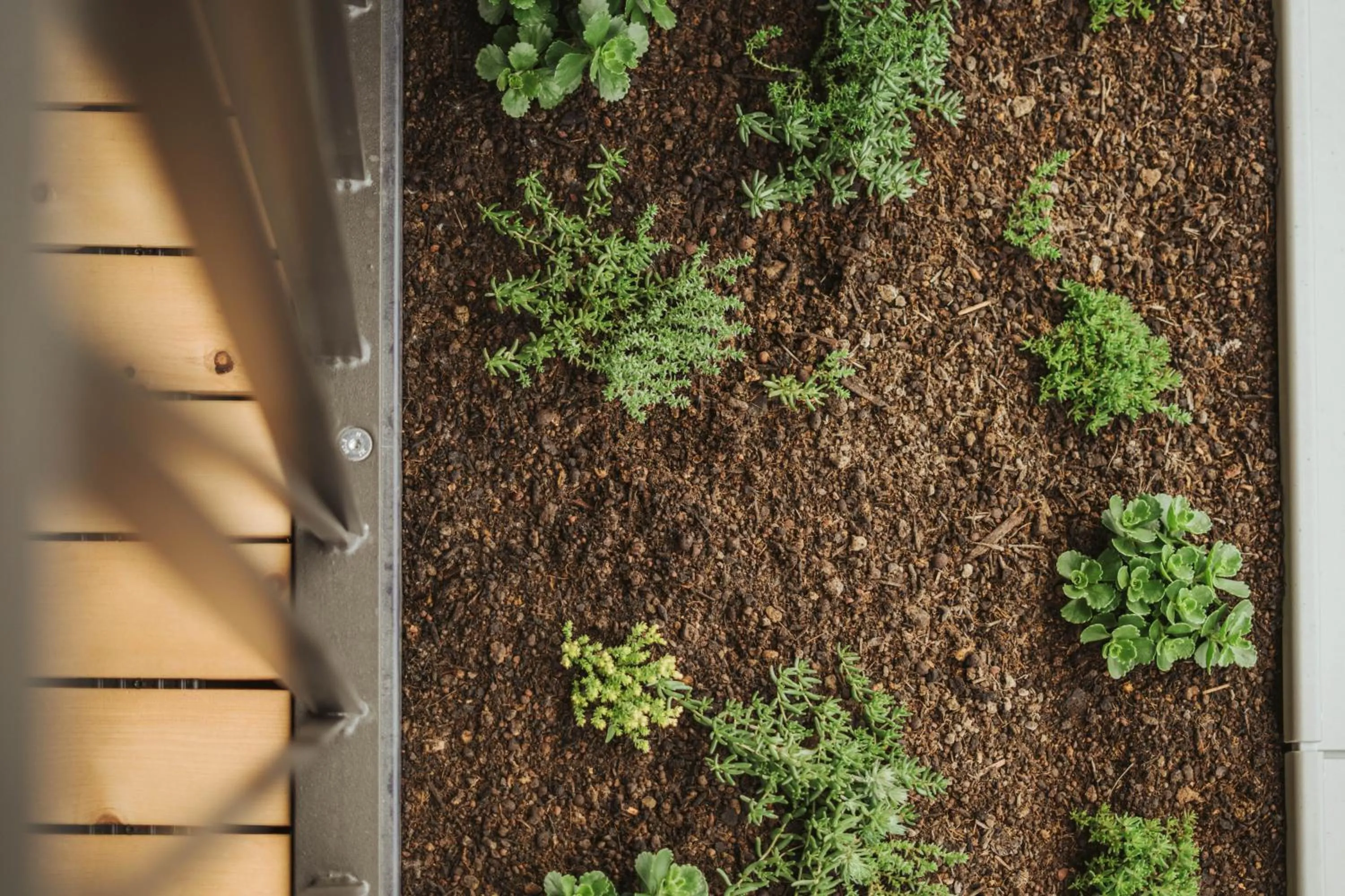 Balcony/Terrace in Hotel Niedermair