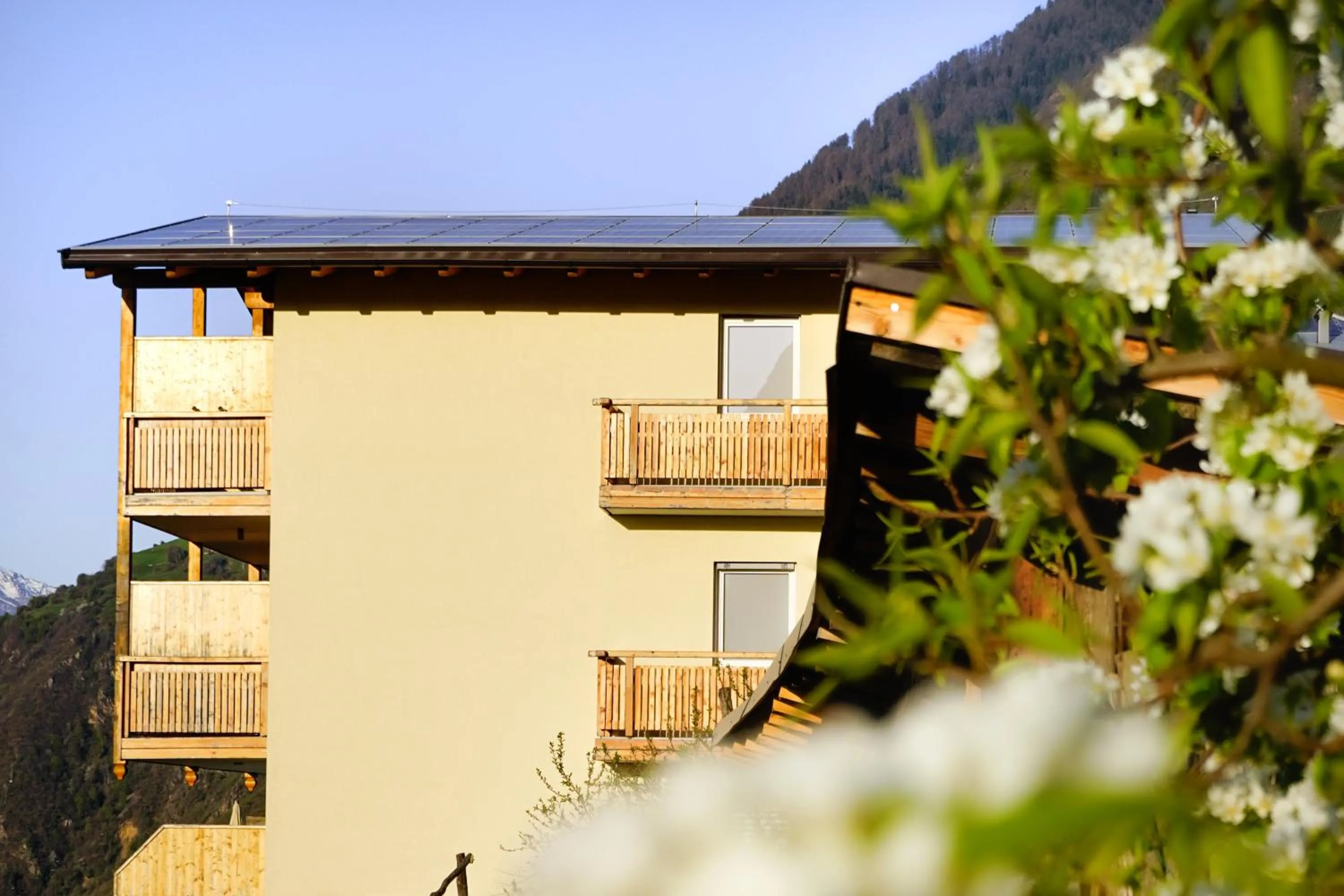 Property building in Hotel Niedermair
