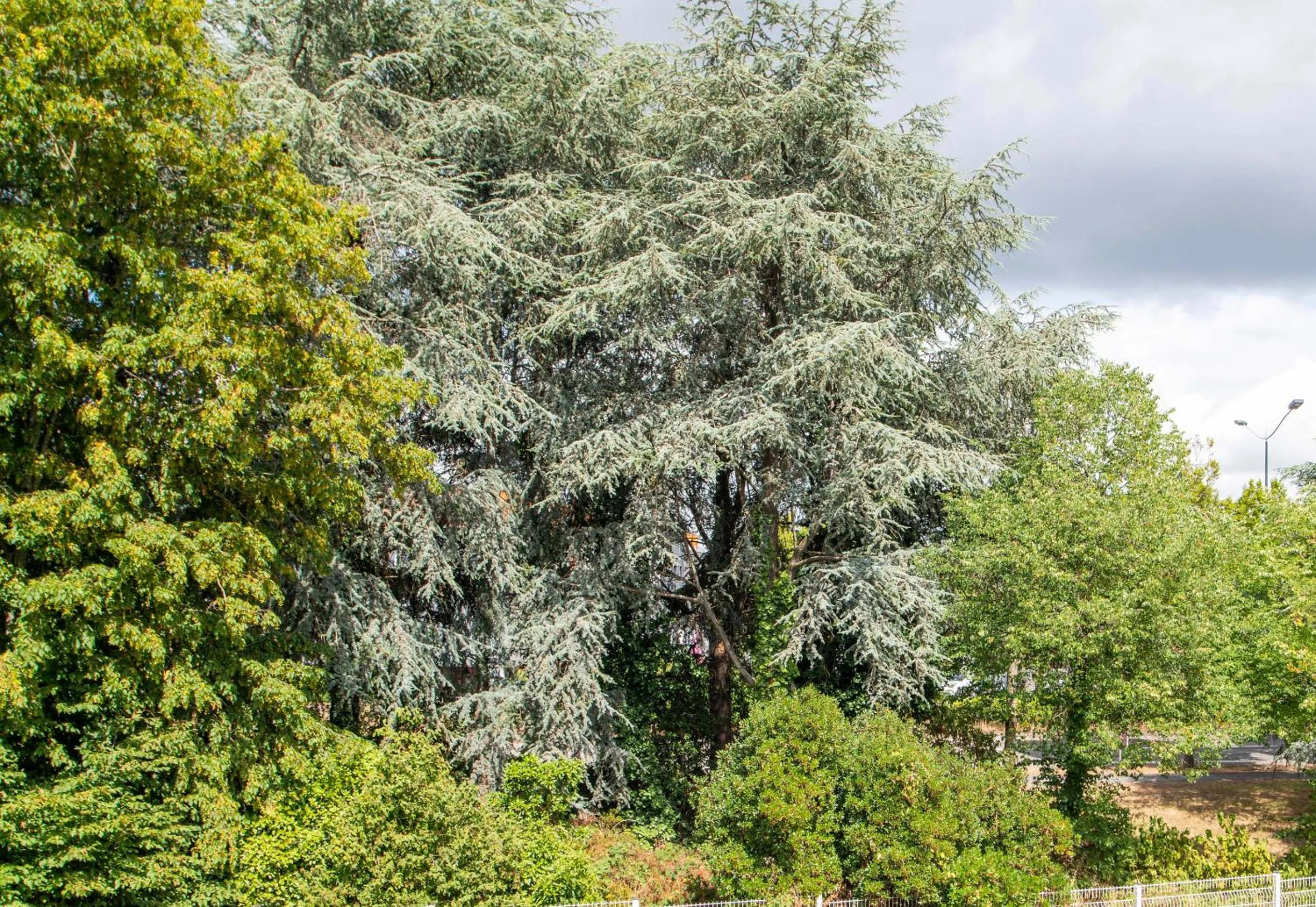 Natural landscape in B&B HOTEL Nantes Parc Expos La Beaujoire