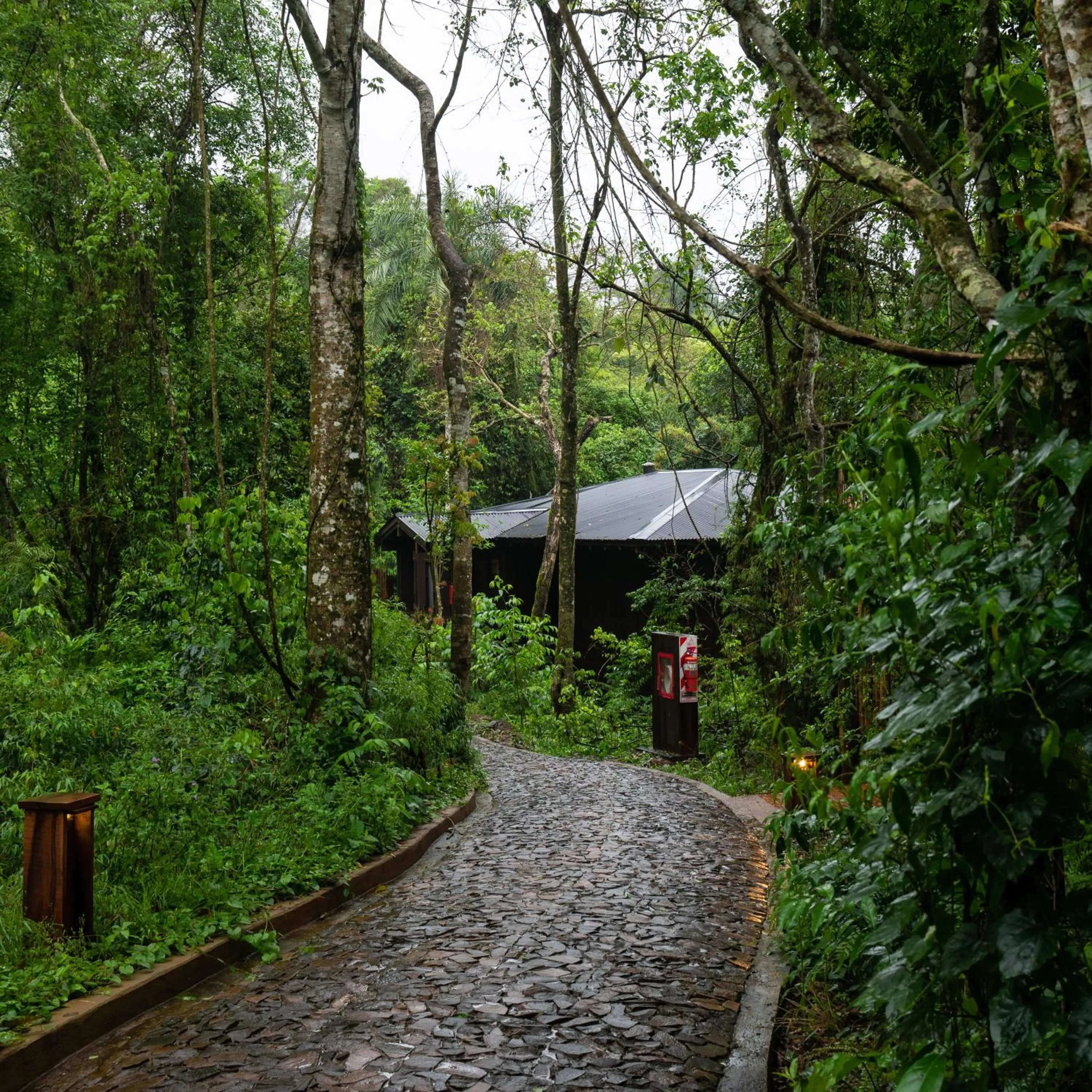 Garden view in Awasi Iguazú