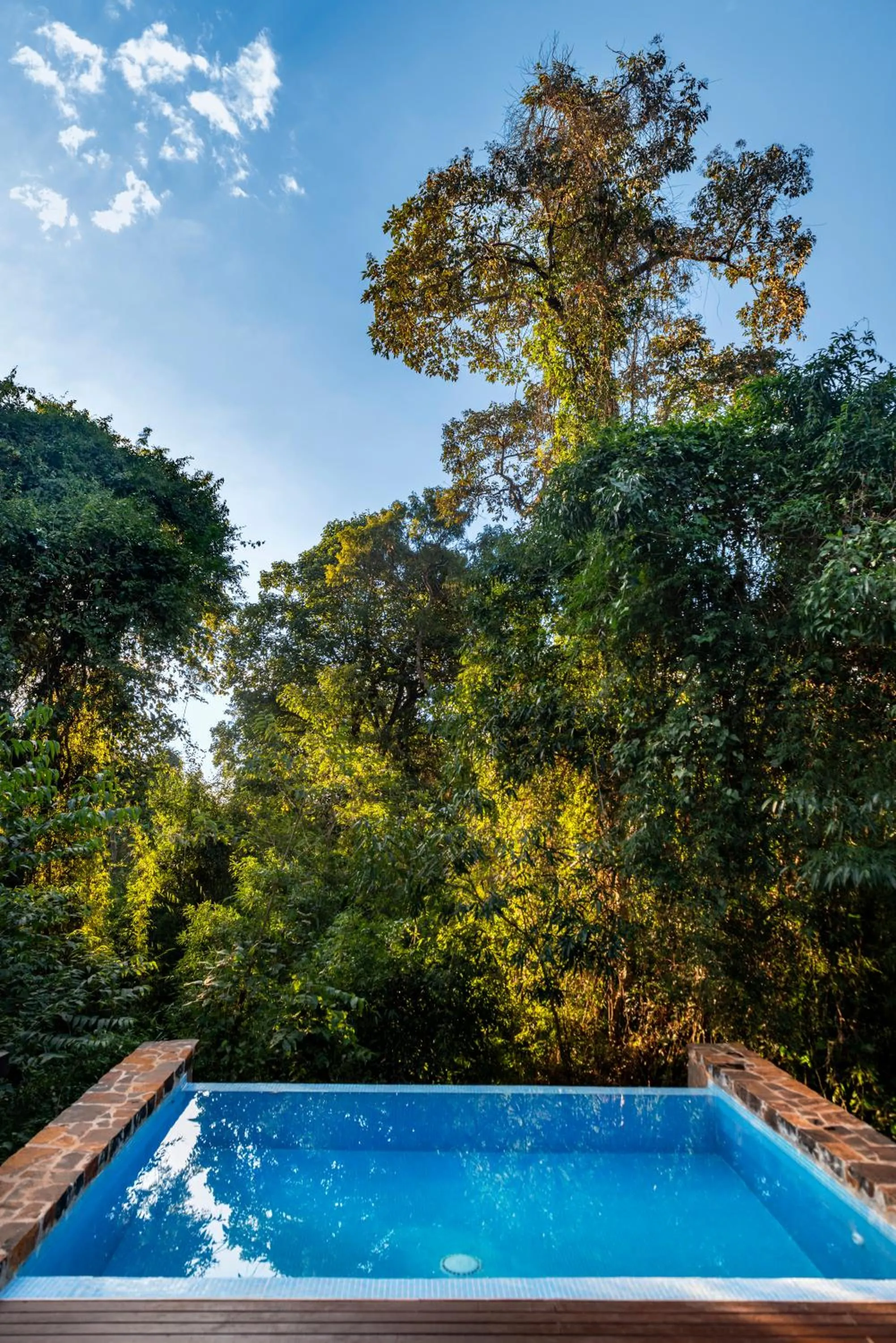 Pool view in Awasi Iguazú