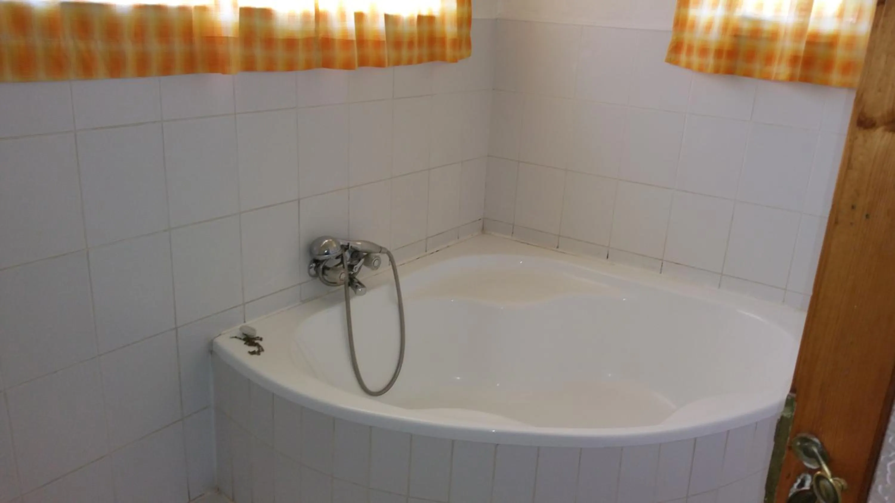 Bathroom in Ashtonville Terraces Guesthouse