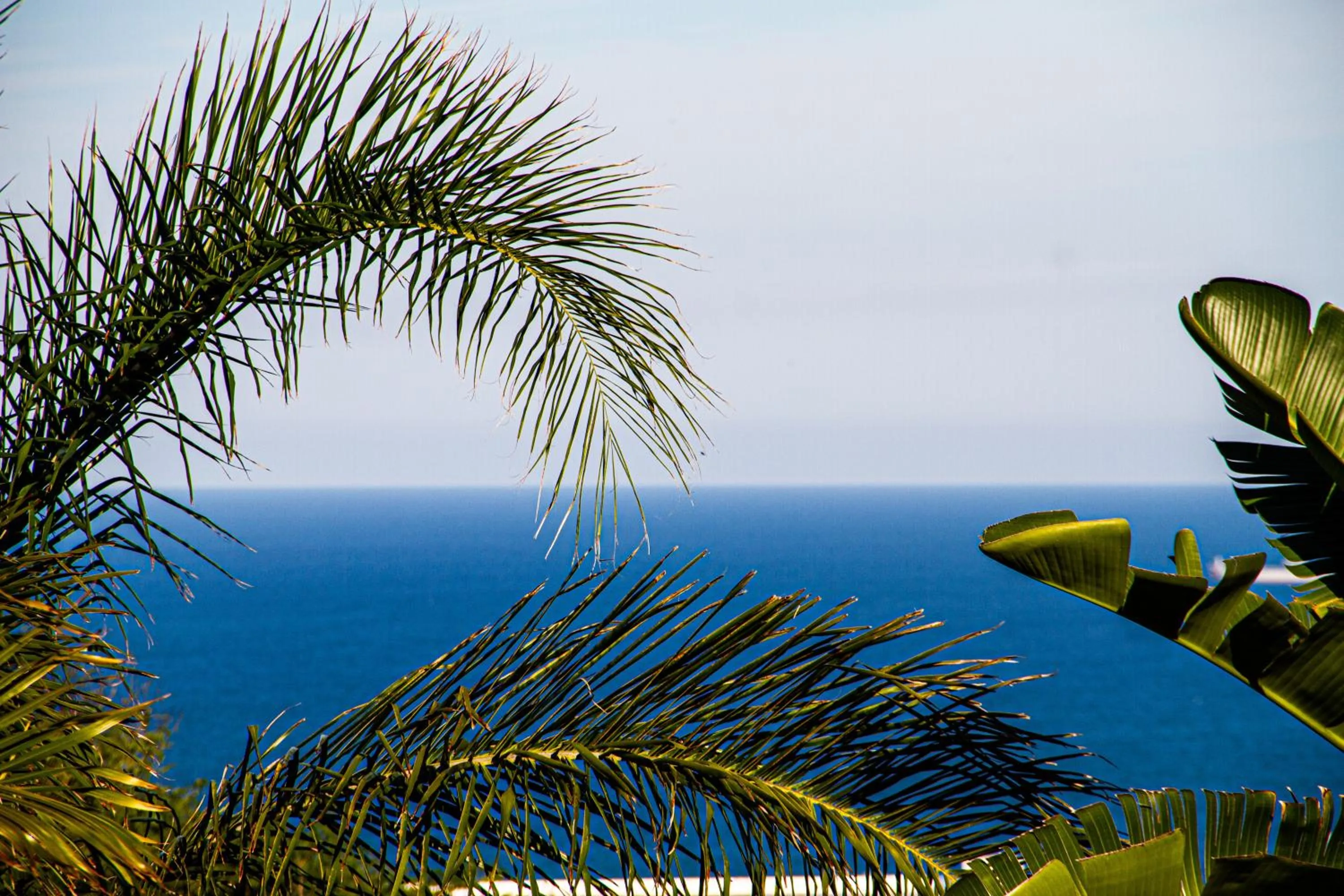 Sea view in La Loggia Bed and Breakfast