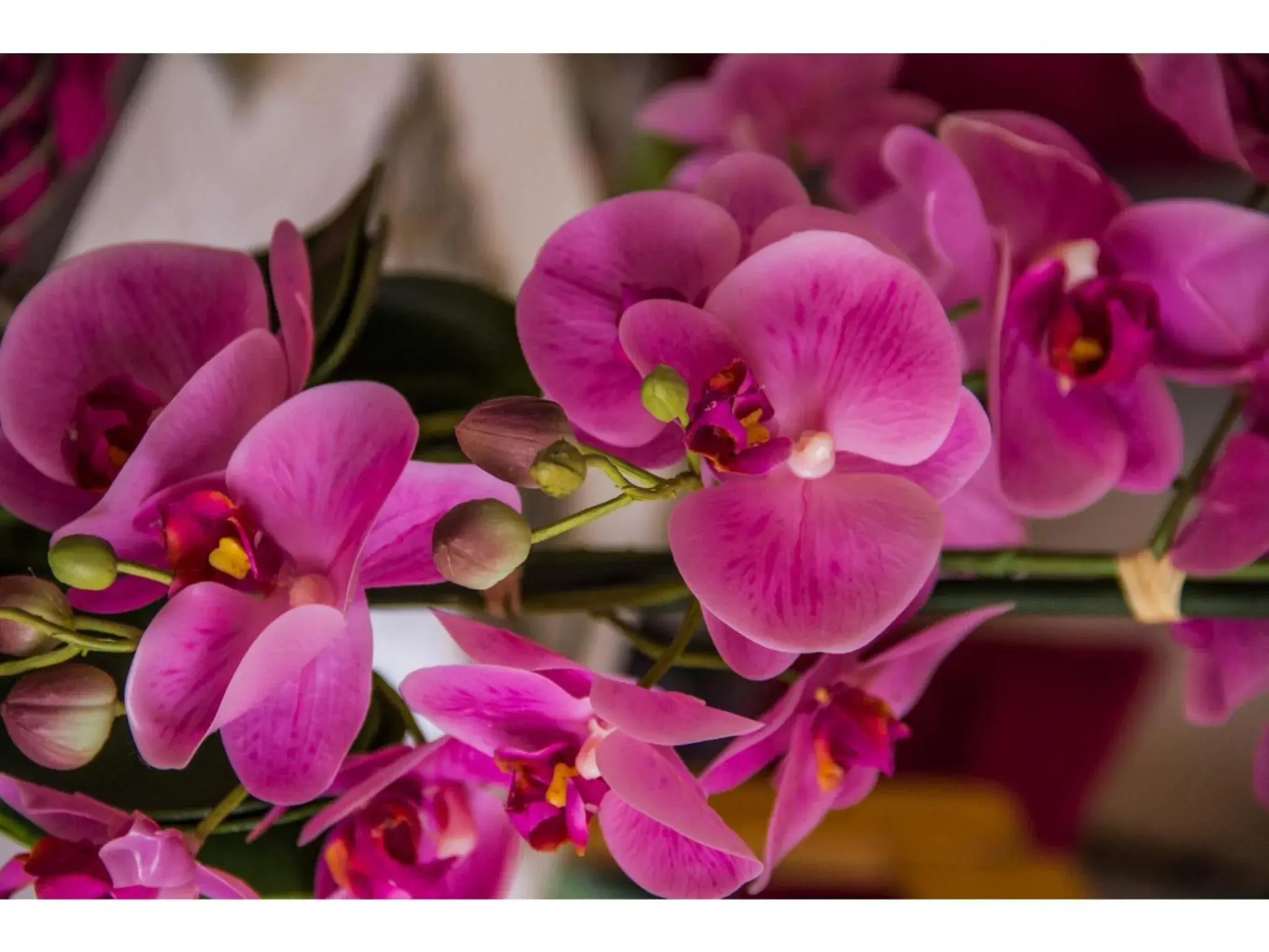 Lobby or reception in La Loggia Bed and Breakfast Lobby or reception in La Loggia Bed and Breakfast