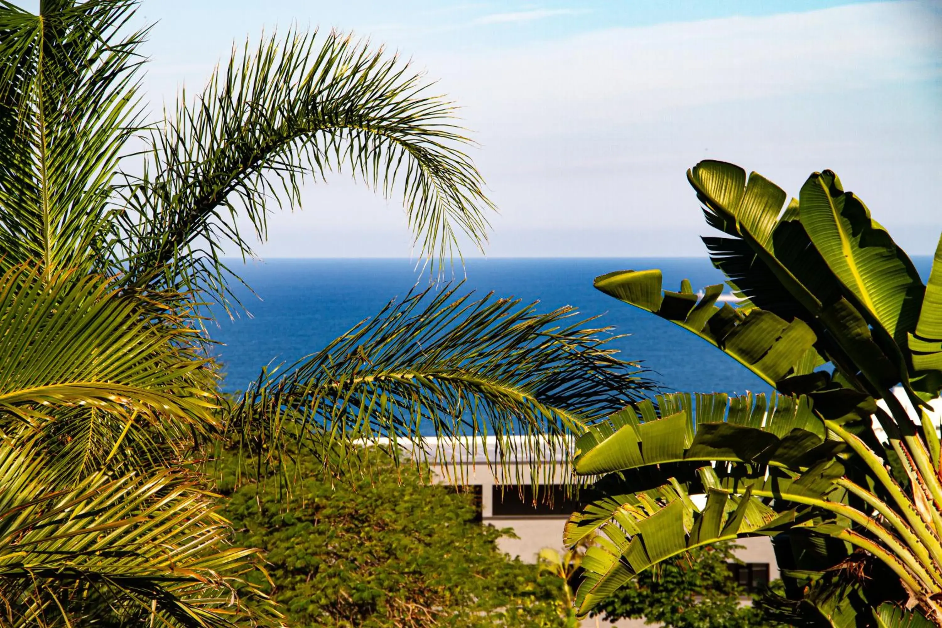 Apartment with Sea View - single occupancy in La Loggia Bed and Breakfast Apartment with Sea View - single occupancy in La Loggia Bed and Breakfast