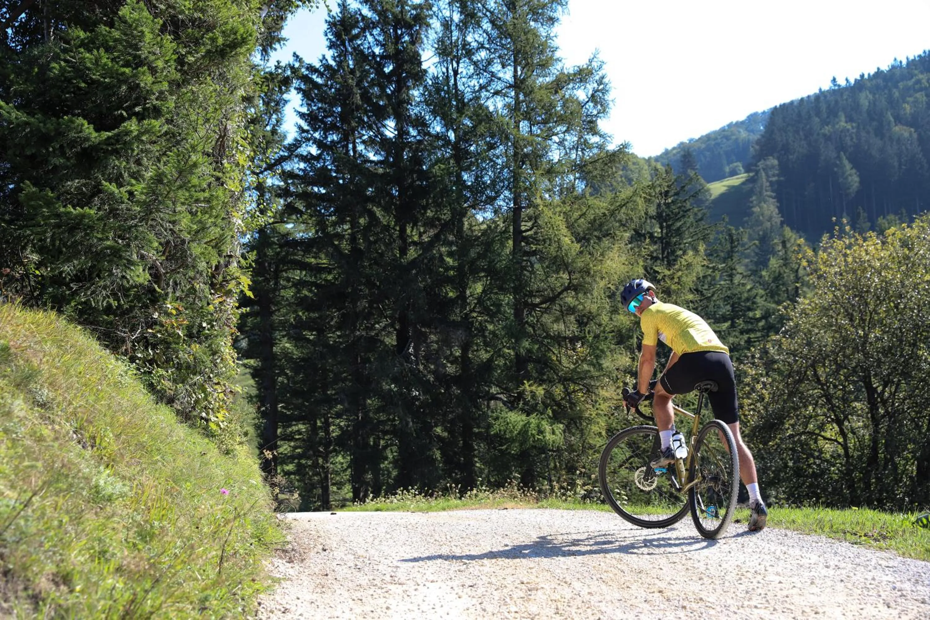 Cycling in Guesthouse Grof