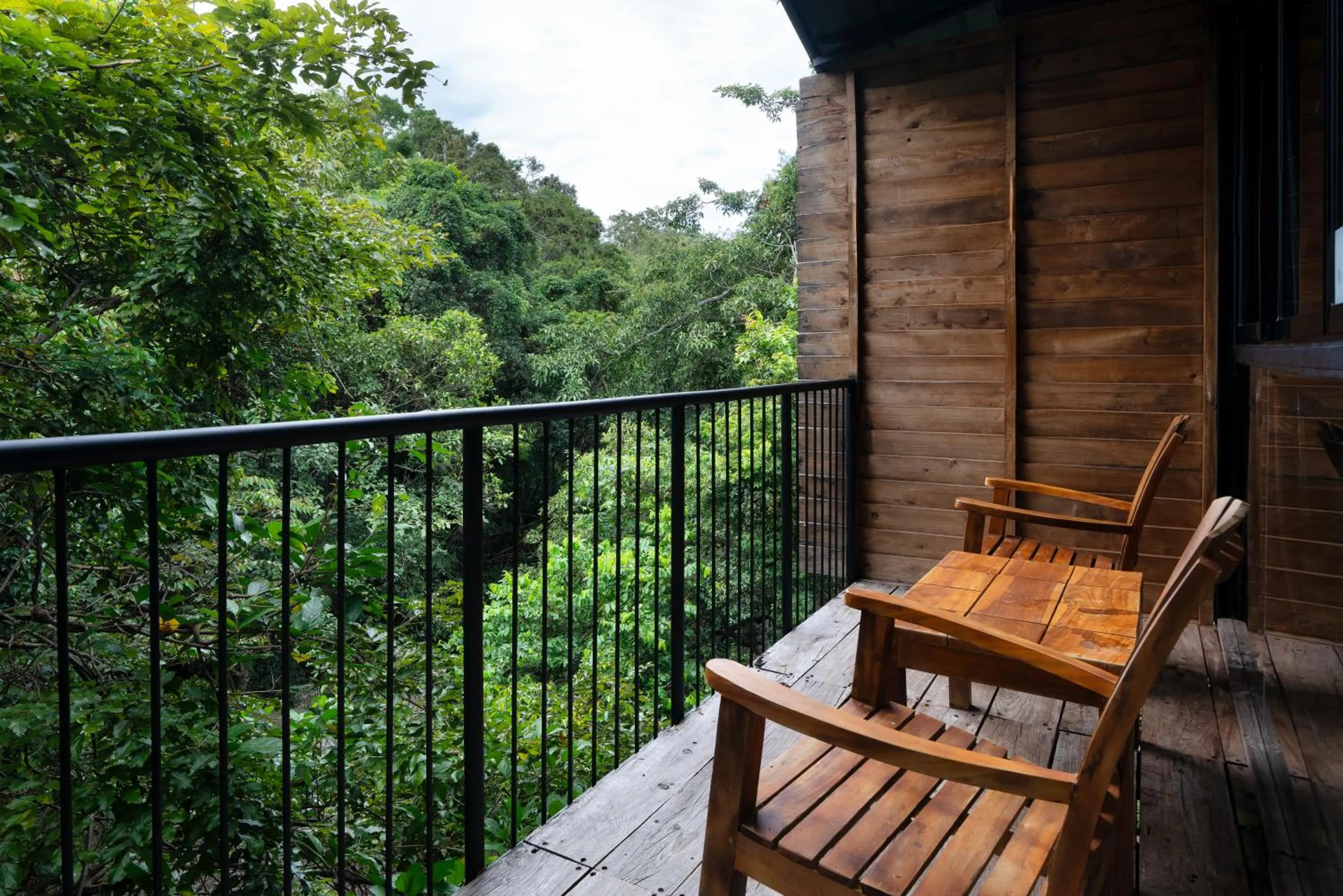 View (from property/room) in The Glenrock Wellness Nature Resort