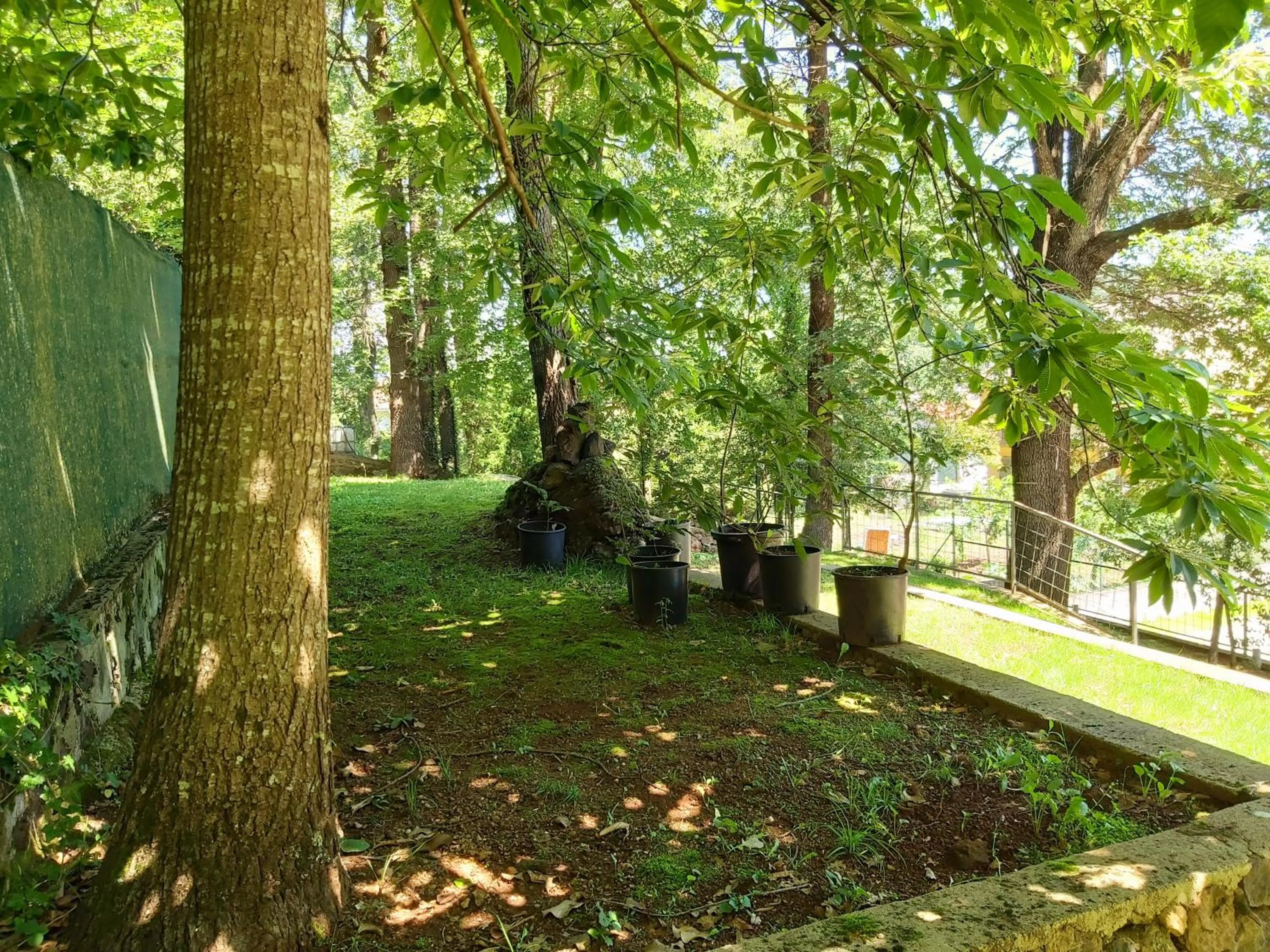 Apartamentos la Francesa