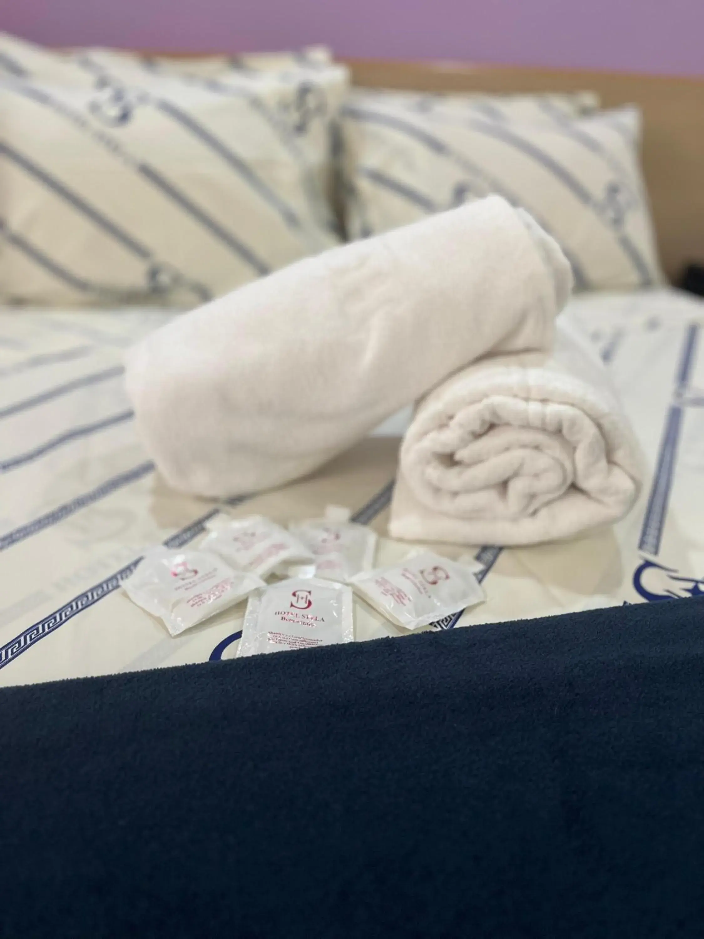 Single Room - single occupancy in Hotel Stela Single Room - single occupancy in Hotel Stela