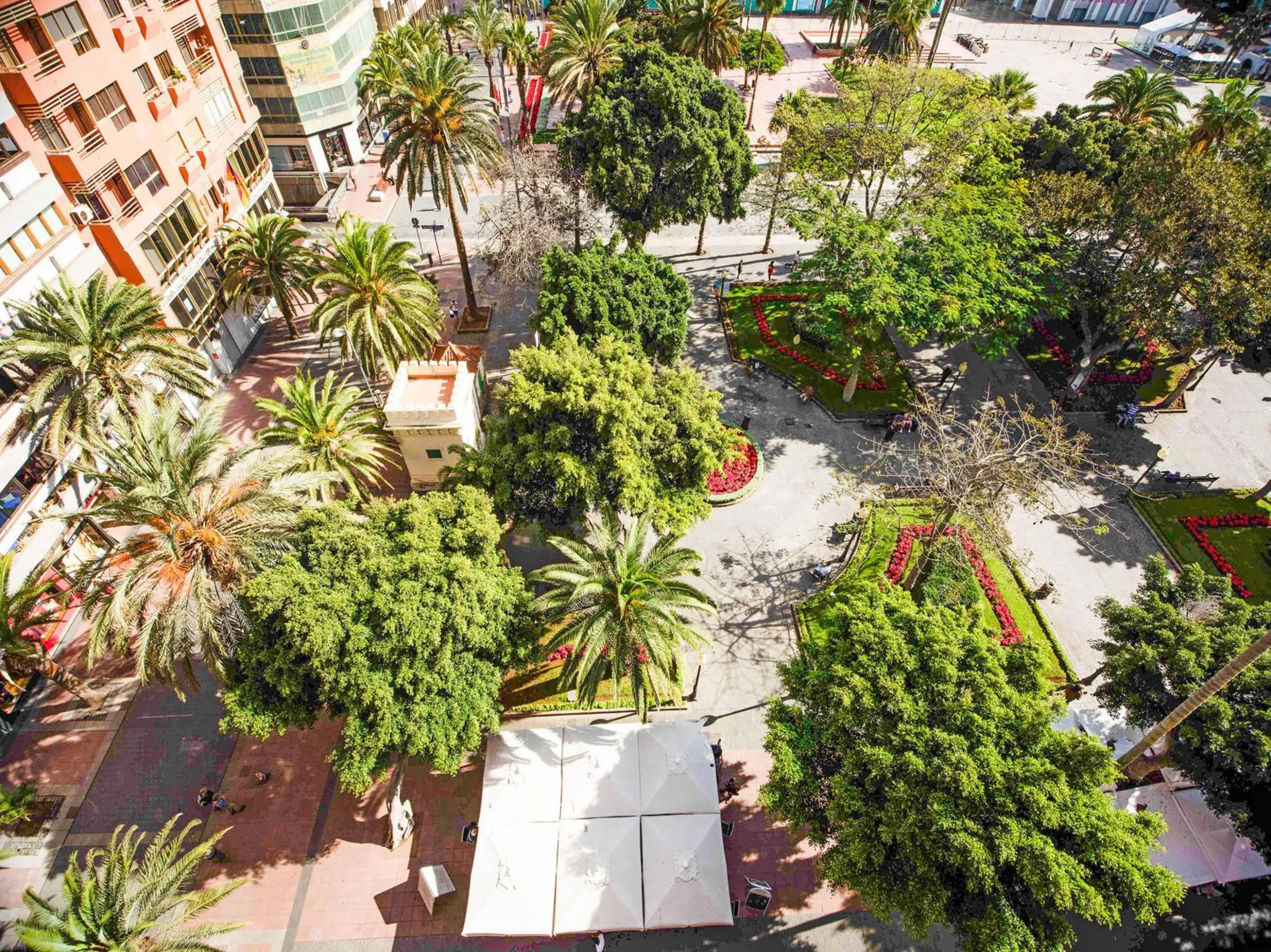 Bird's eye view in Miami Santa Catalina