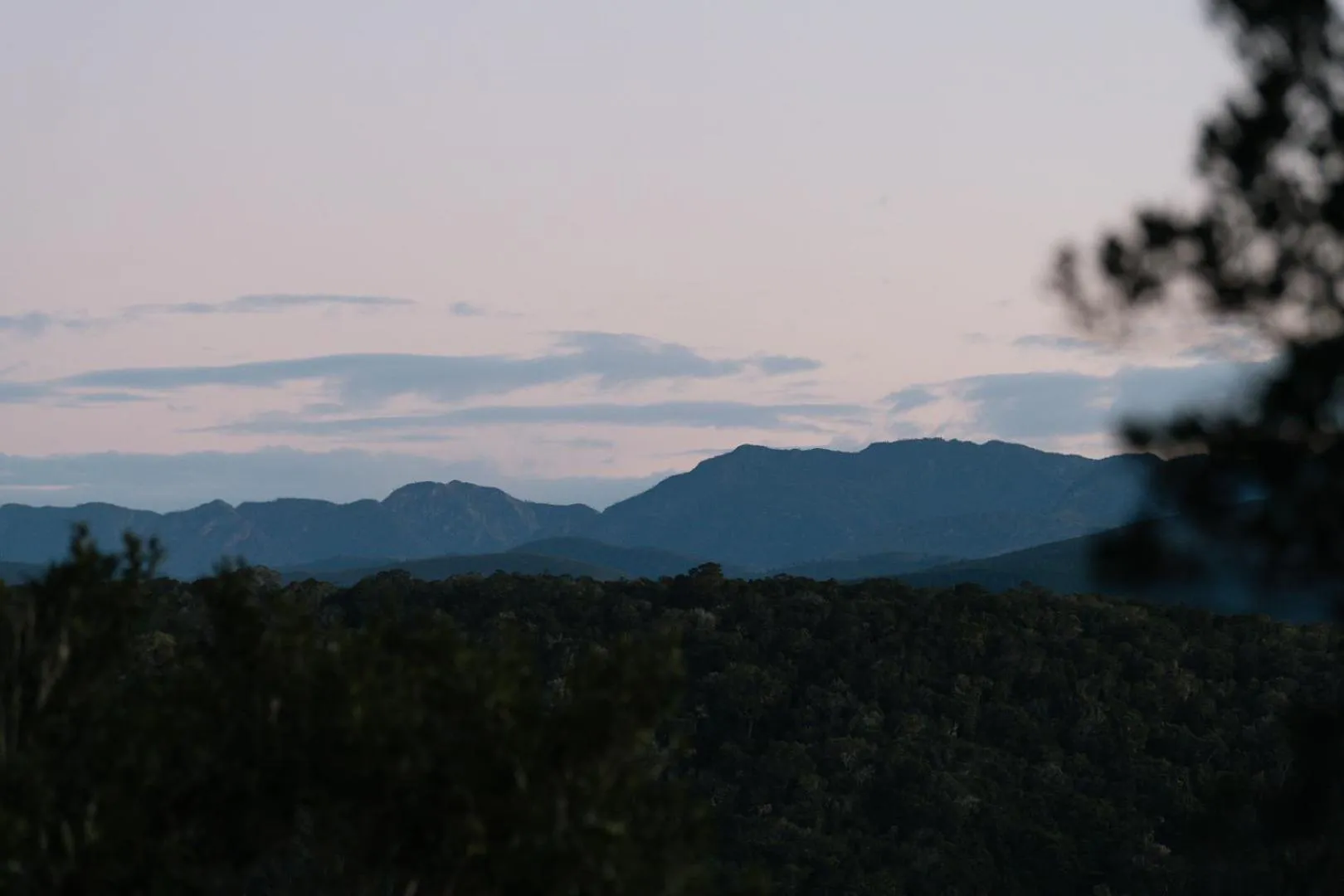 Garden view in Moonshine on Whiskey Creek