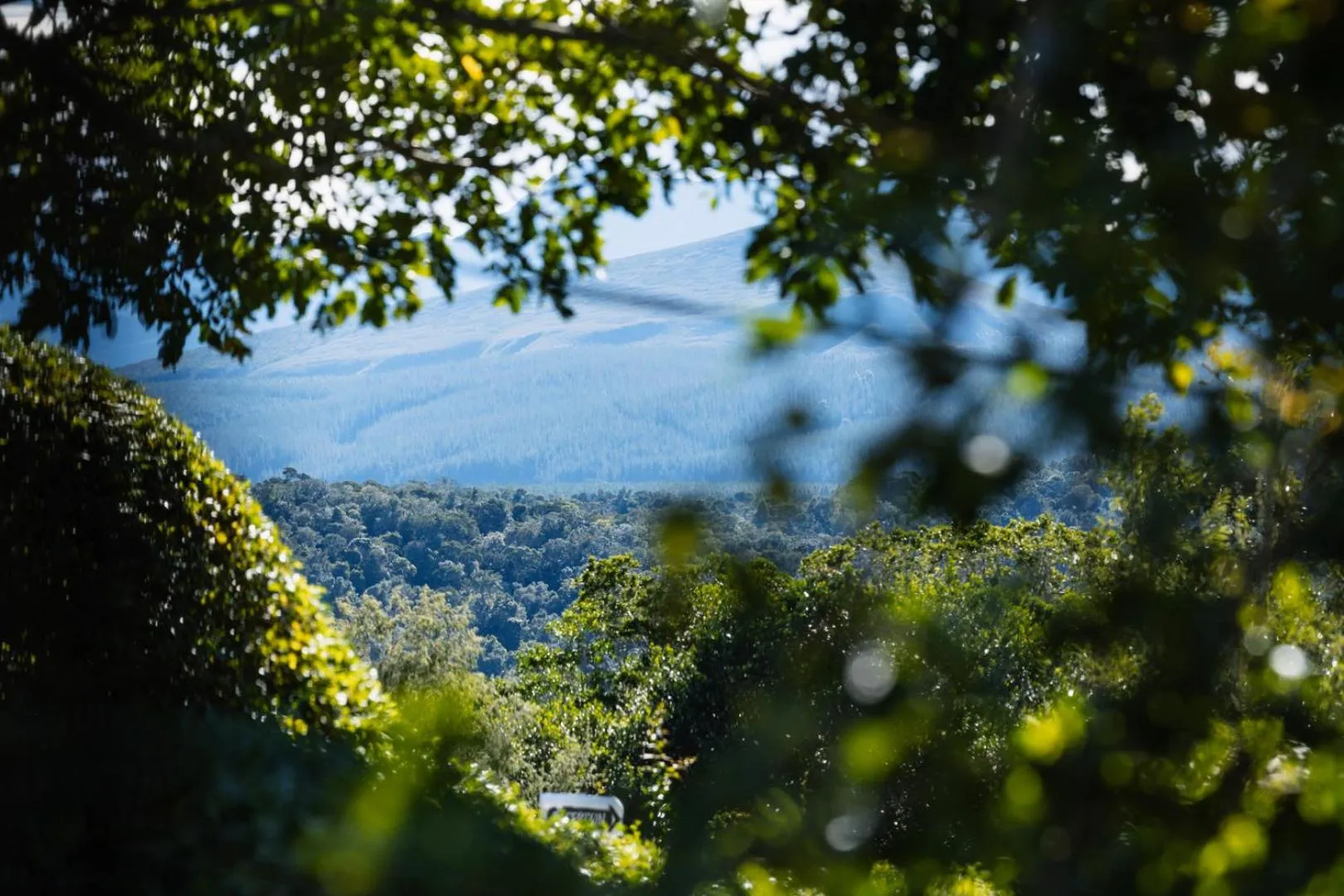 Natural landscape in Moonshine on Whiskey Creek