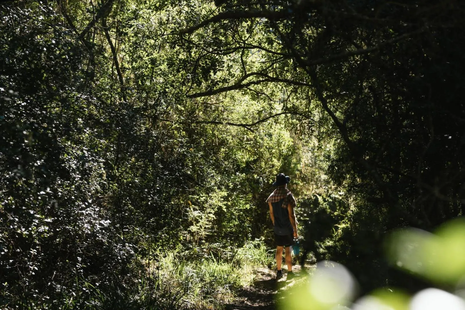 Natural landscape in Moonshine on Whiskey Creek