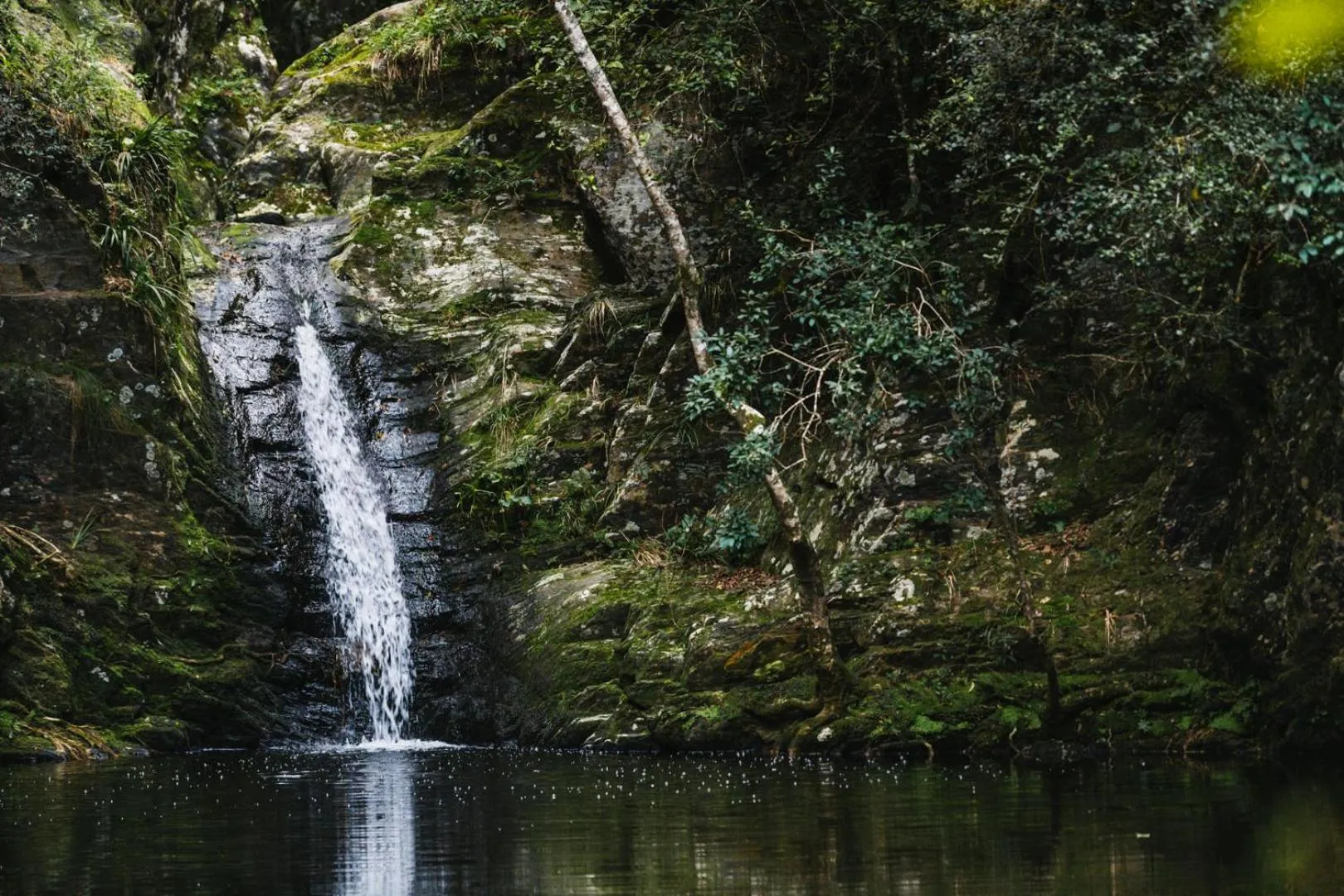 Natural landscape in Moonshine on Whiskey Creek