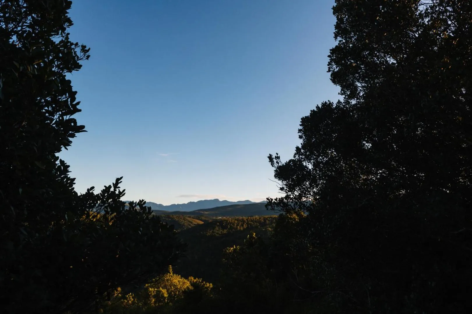 Natural landscape in Moonshine on Whiskey Creek